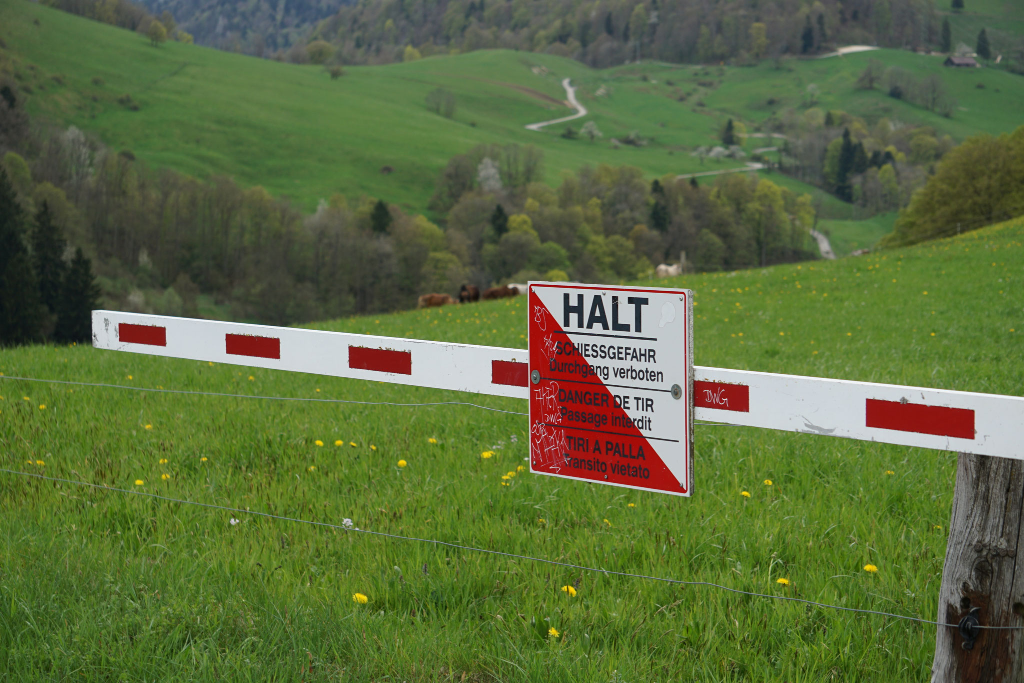 Das Land gehört der Armasuisse, ein Teil davon dient auch als Truppenübungsplatz.