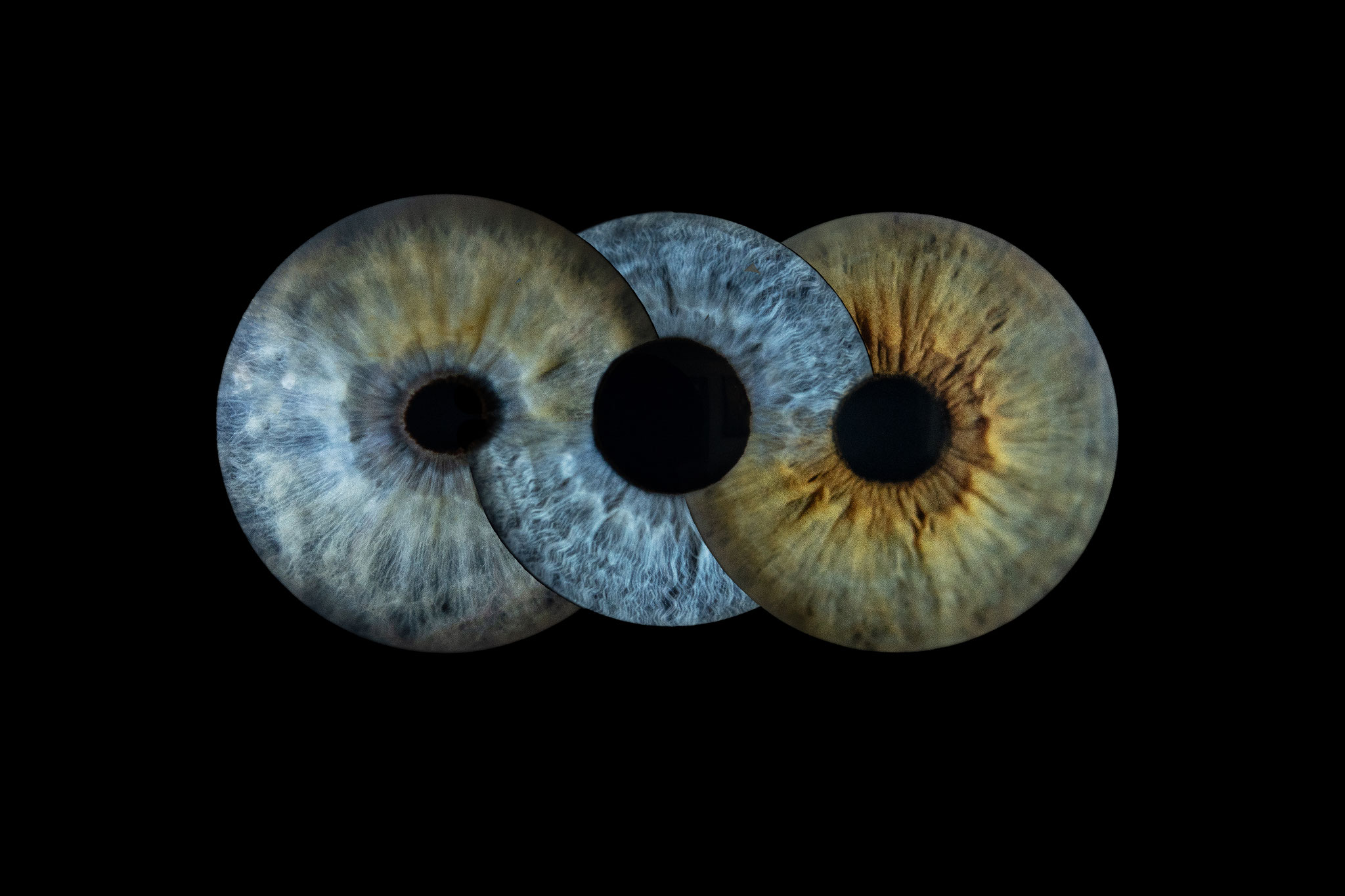 IrisShooting Fotograf und Bilddesigner aus Pulheim