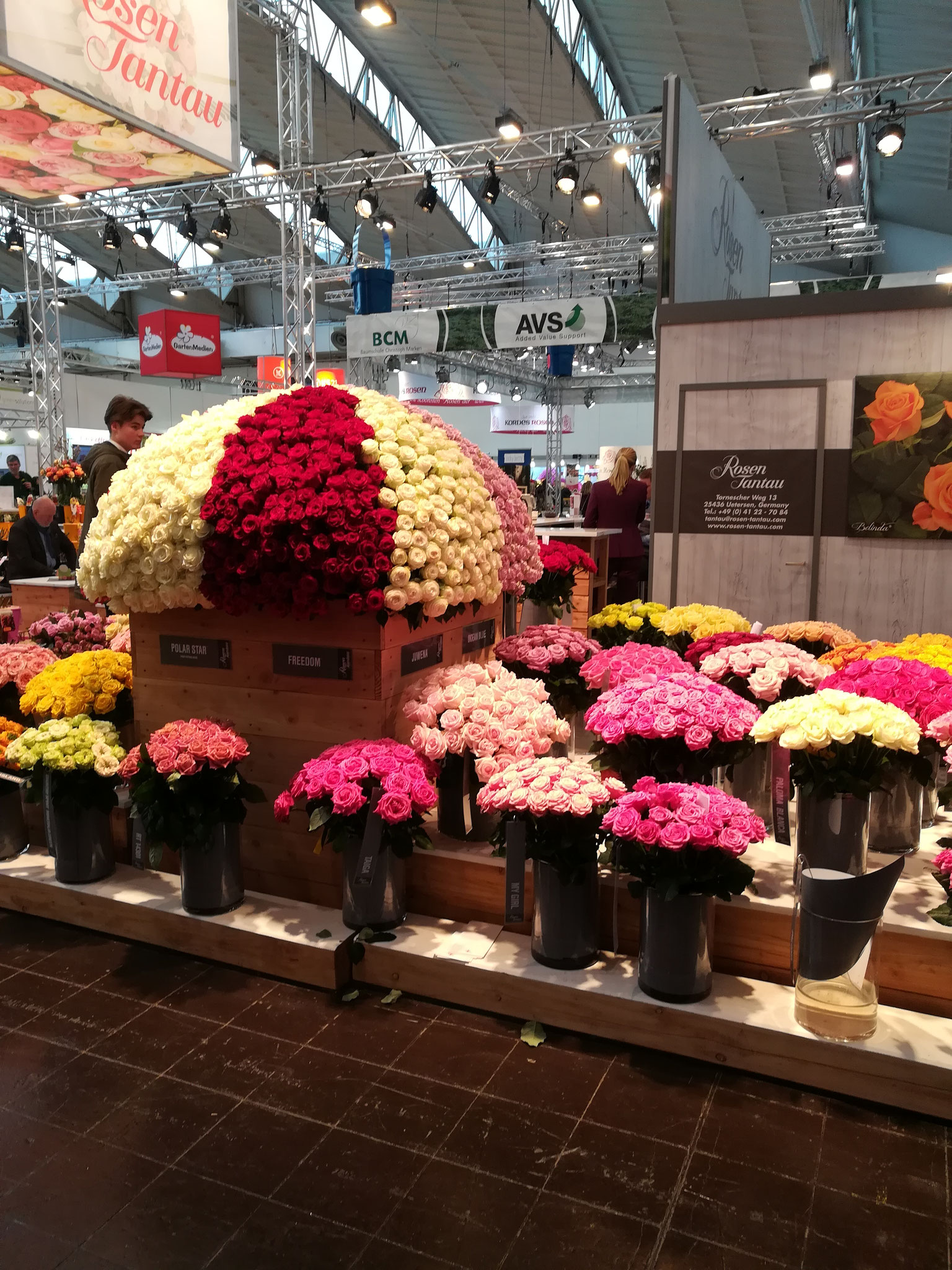 IPM 2020