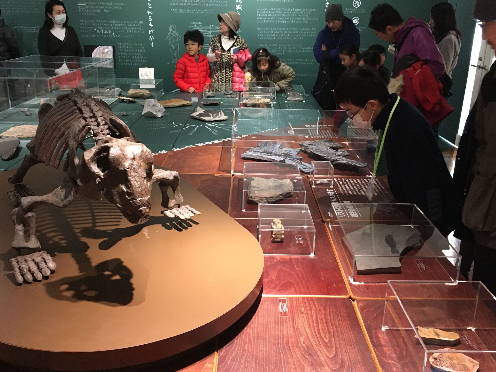 大量絶滅は、過去に５回起こりました。