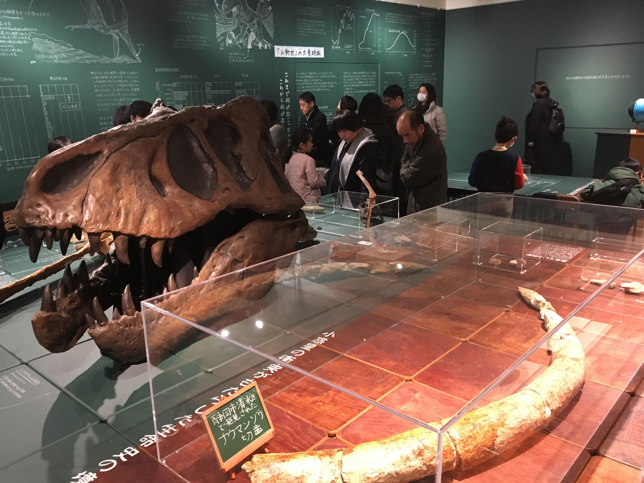 恐竜が絶滅し、哺乳類が繁栄する新生代へ