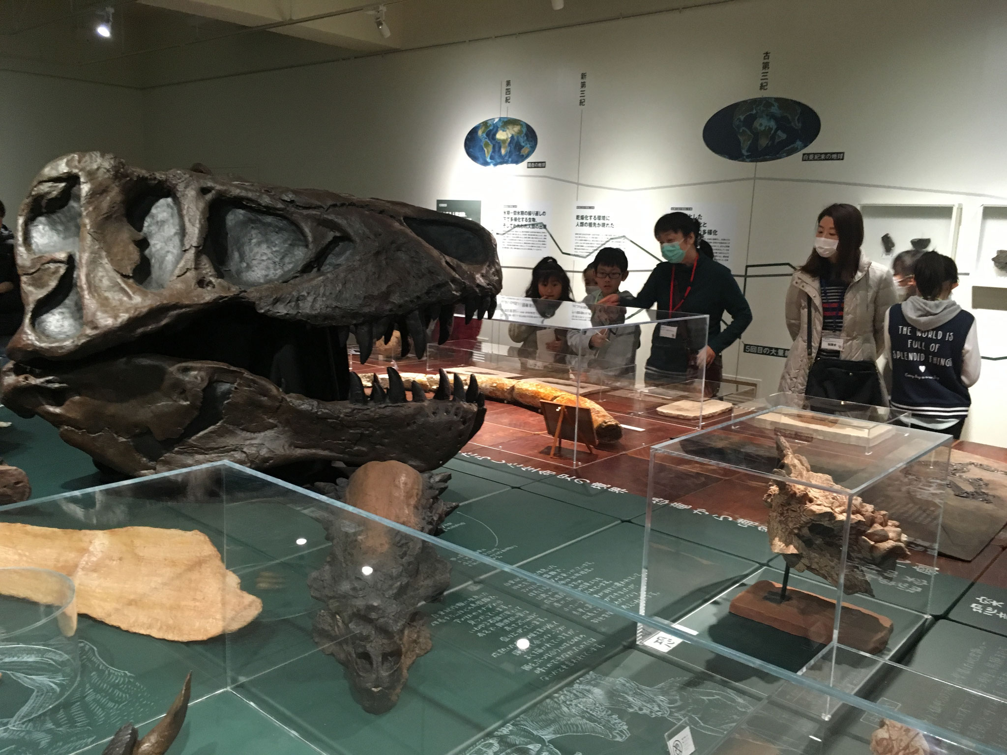 恐竜を滅ぼした隕石落下（Ｋ－Ｐｇ境界）