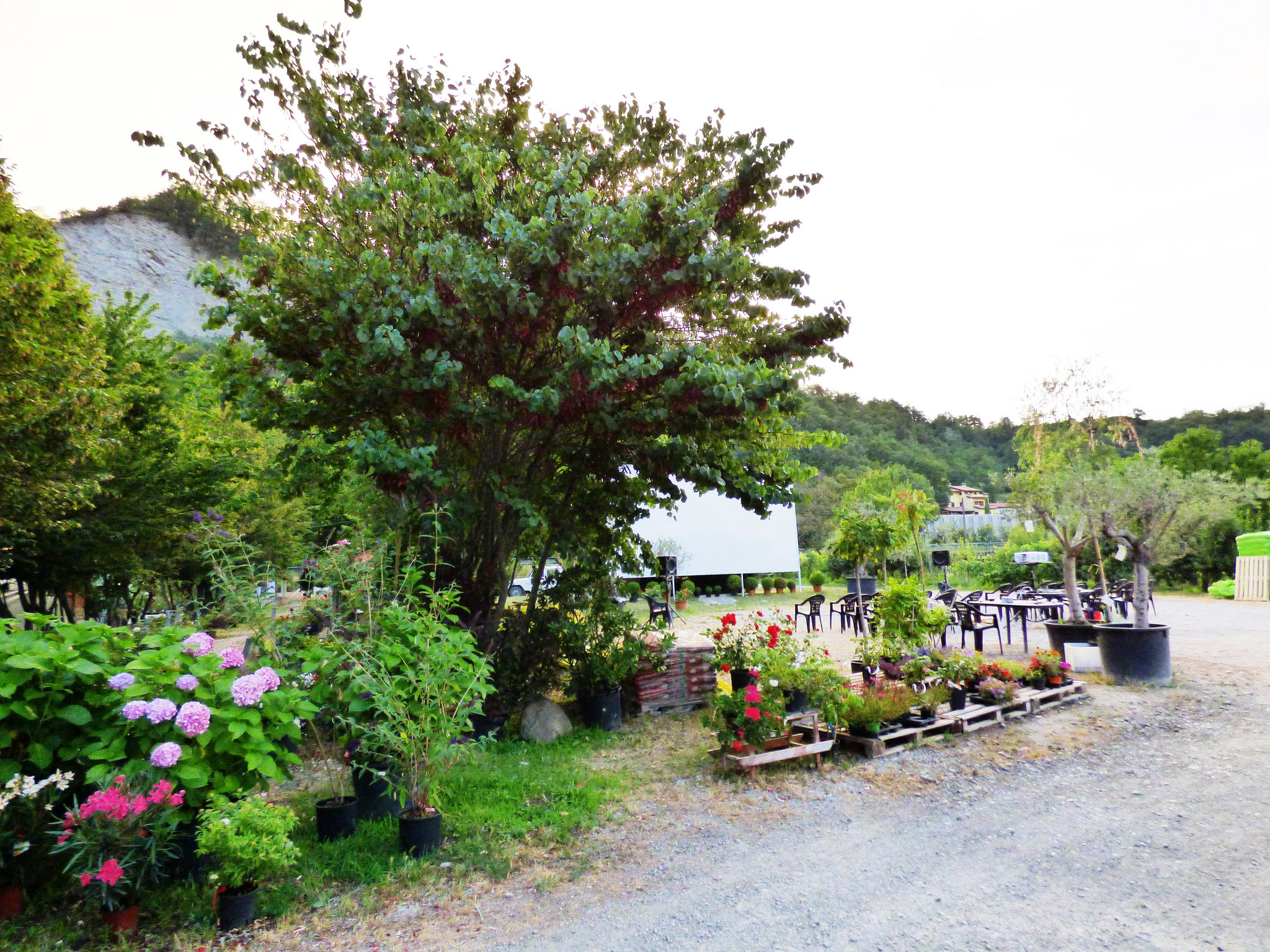 Cinema Le Grazie Sotto Le Stelle e tra i fiori - Vivaio s. Martino Bobbio Val Trebbia