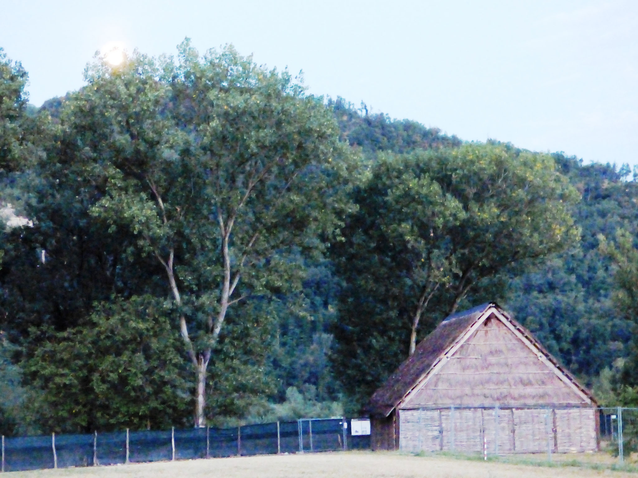 cinema sotto le stelle - parco archeologico di Travo 16 agosto