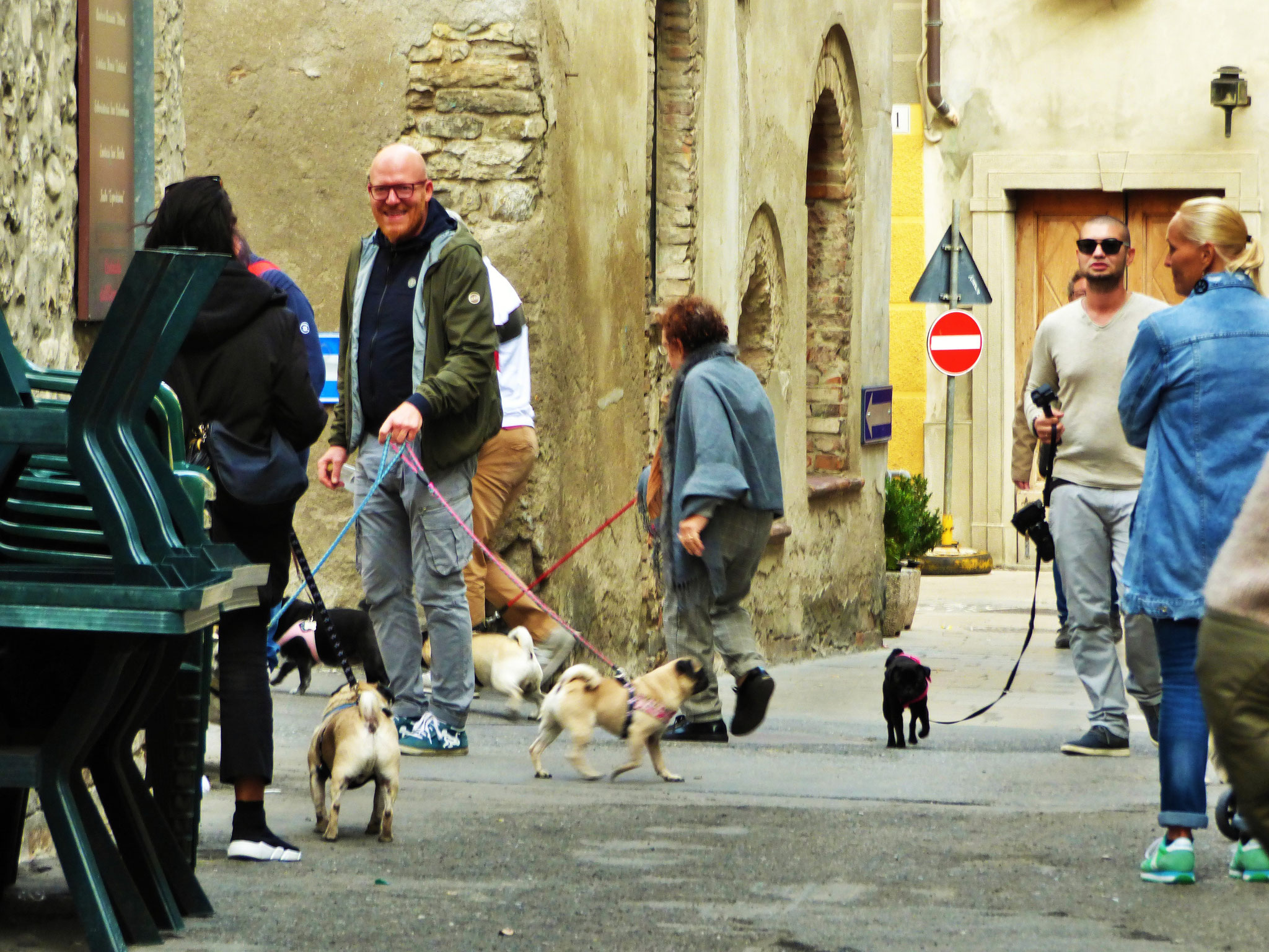 EVENTO    IL CARLINO D'ORO          con proiezione    del film    "ti presento Patrick"      al cinema col cane    12 ottobre ore 15:30