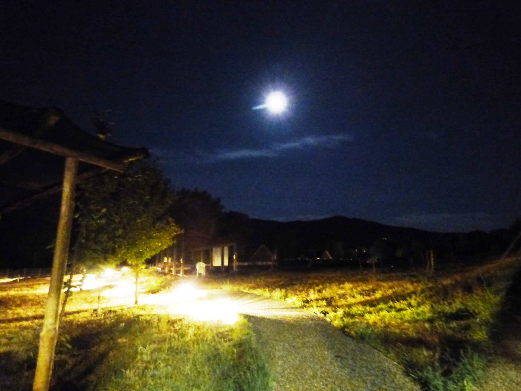 cinema sotto le stelle - parco archeologico di Travo 16 agosto