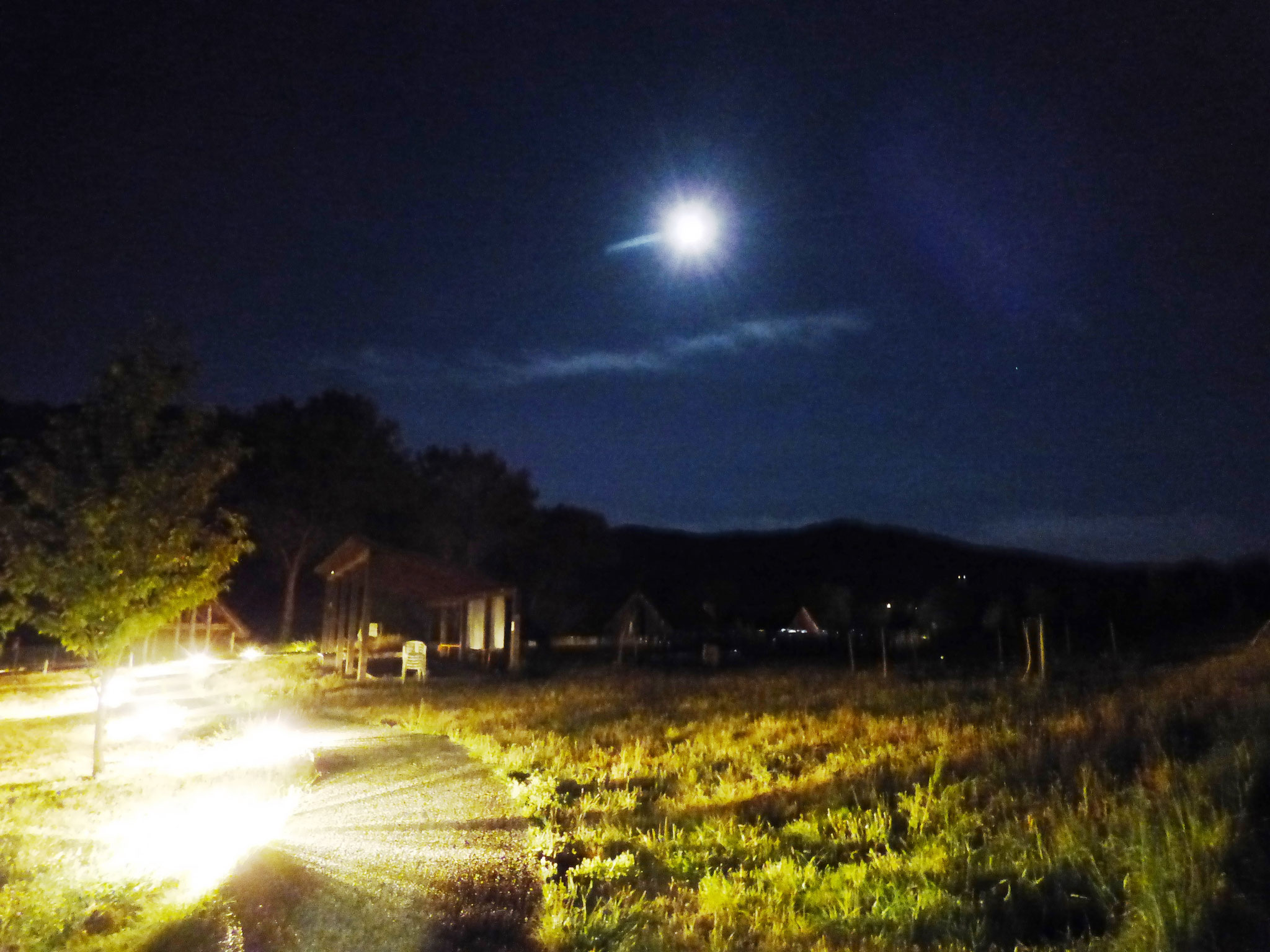 cinema sotto le stelle - parco archeologico di Travo 16 agosto