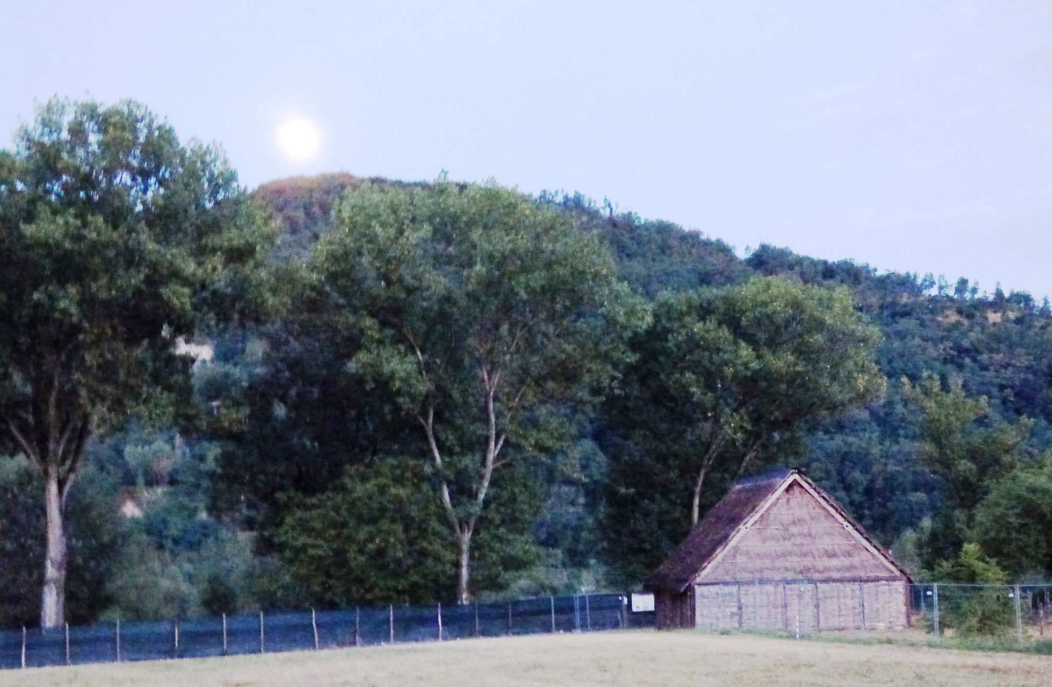 cinema sotto le stelle - parco archeologico di Travo 16 agosto