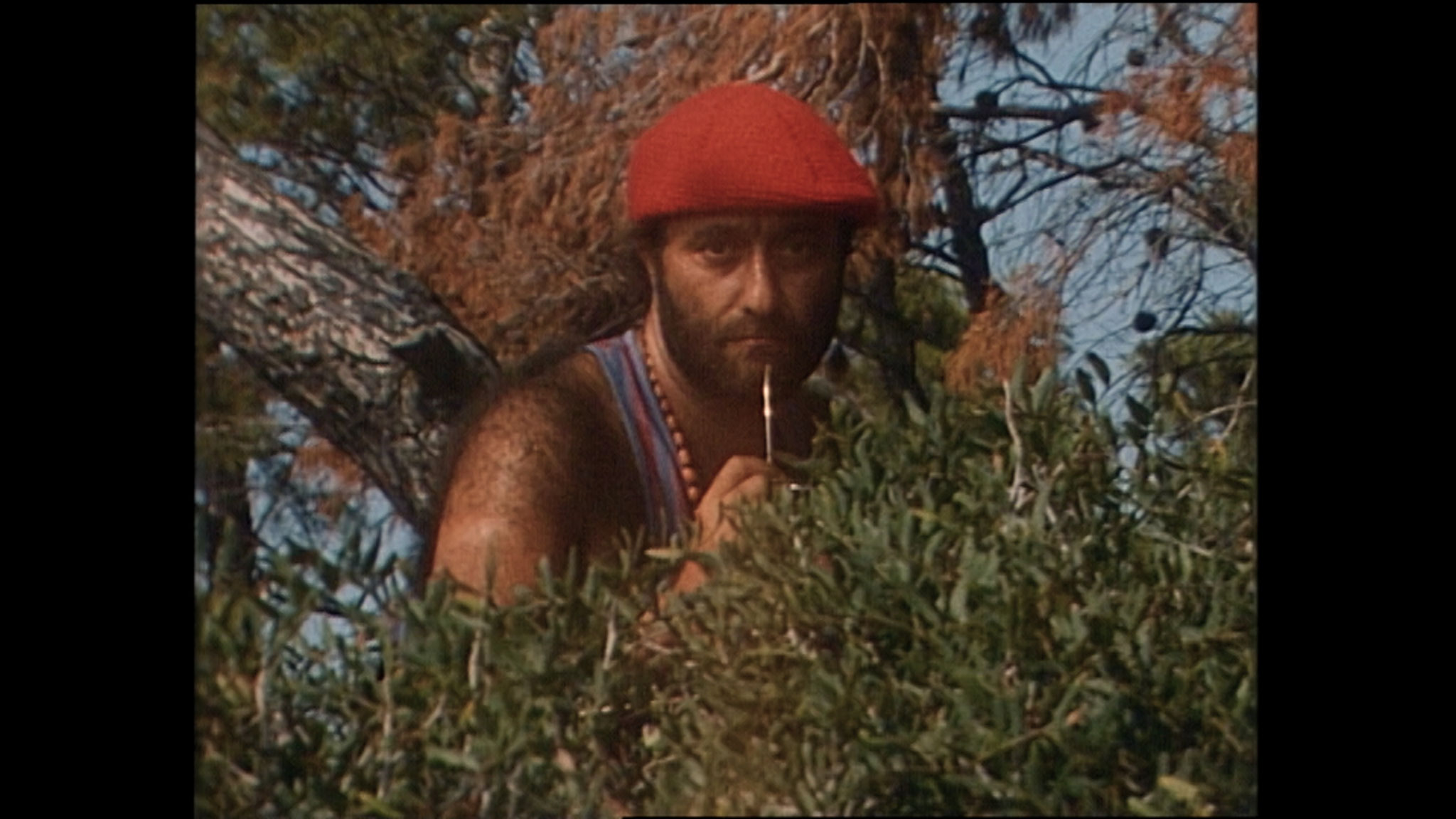 QUALE ALLEGRIA domenica 9, sabato 15: ore 16:30 martedì 11: ore 21:00 #qualeallegria #qualeallegriailfilm