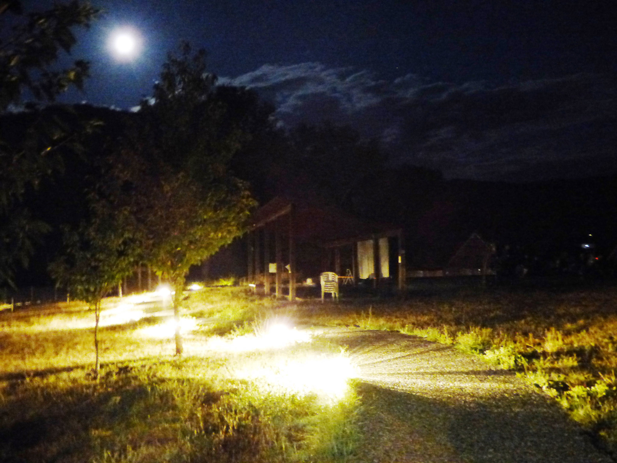 cinema sotto le stelle - parco archeologico di Travo 16 agosto