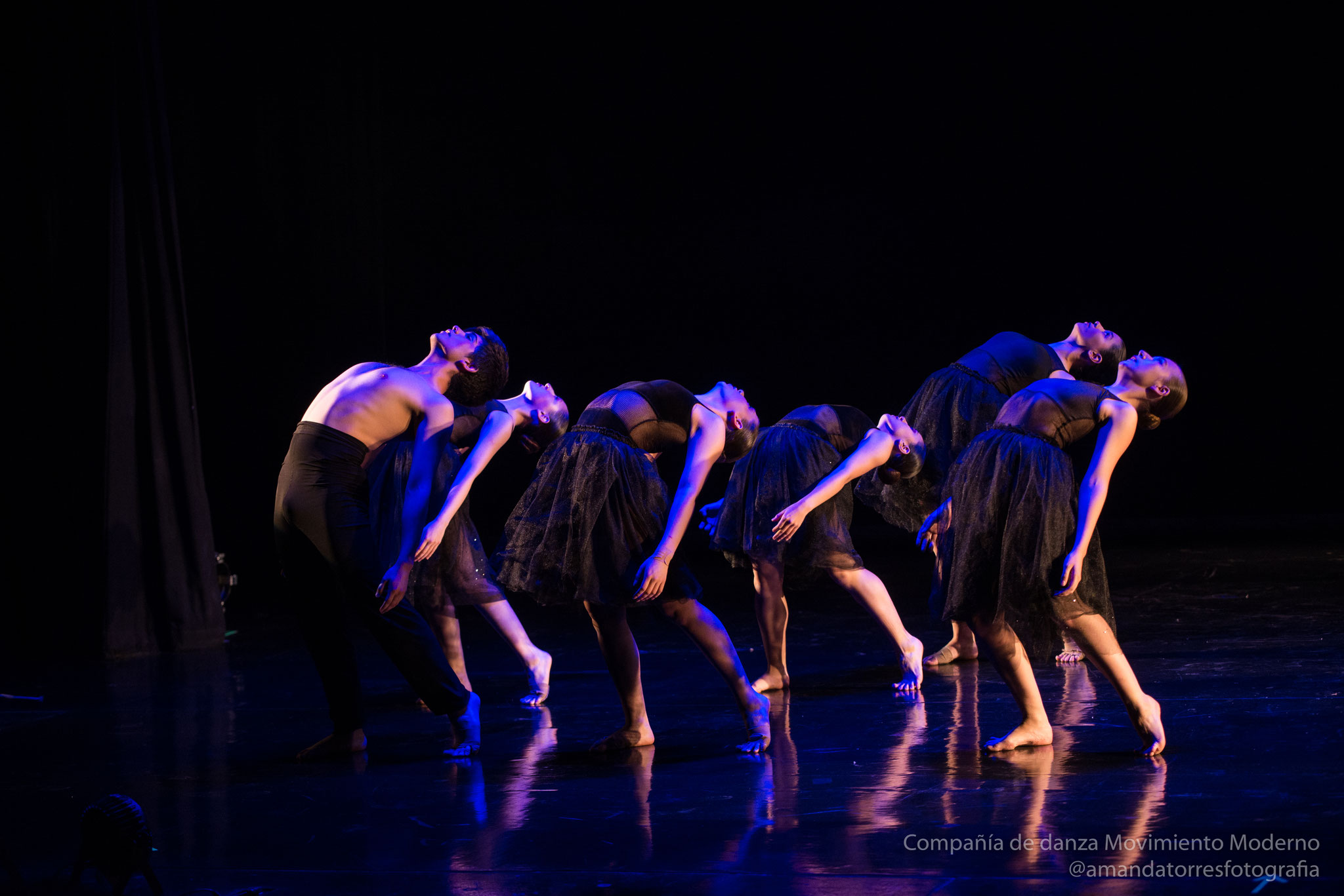 Obra Concierto dic 2019