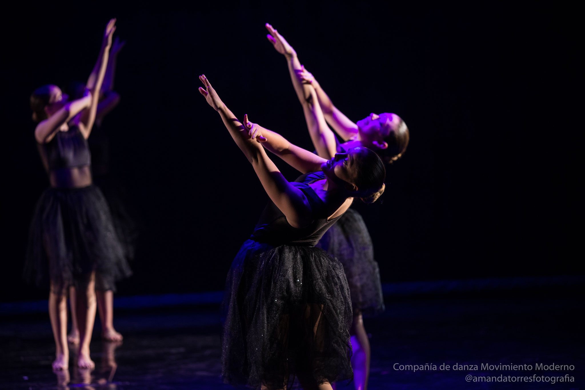 Obra Concierto dic 2019