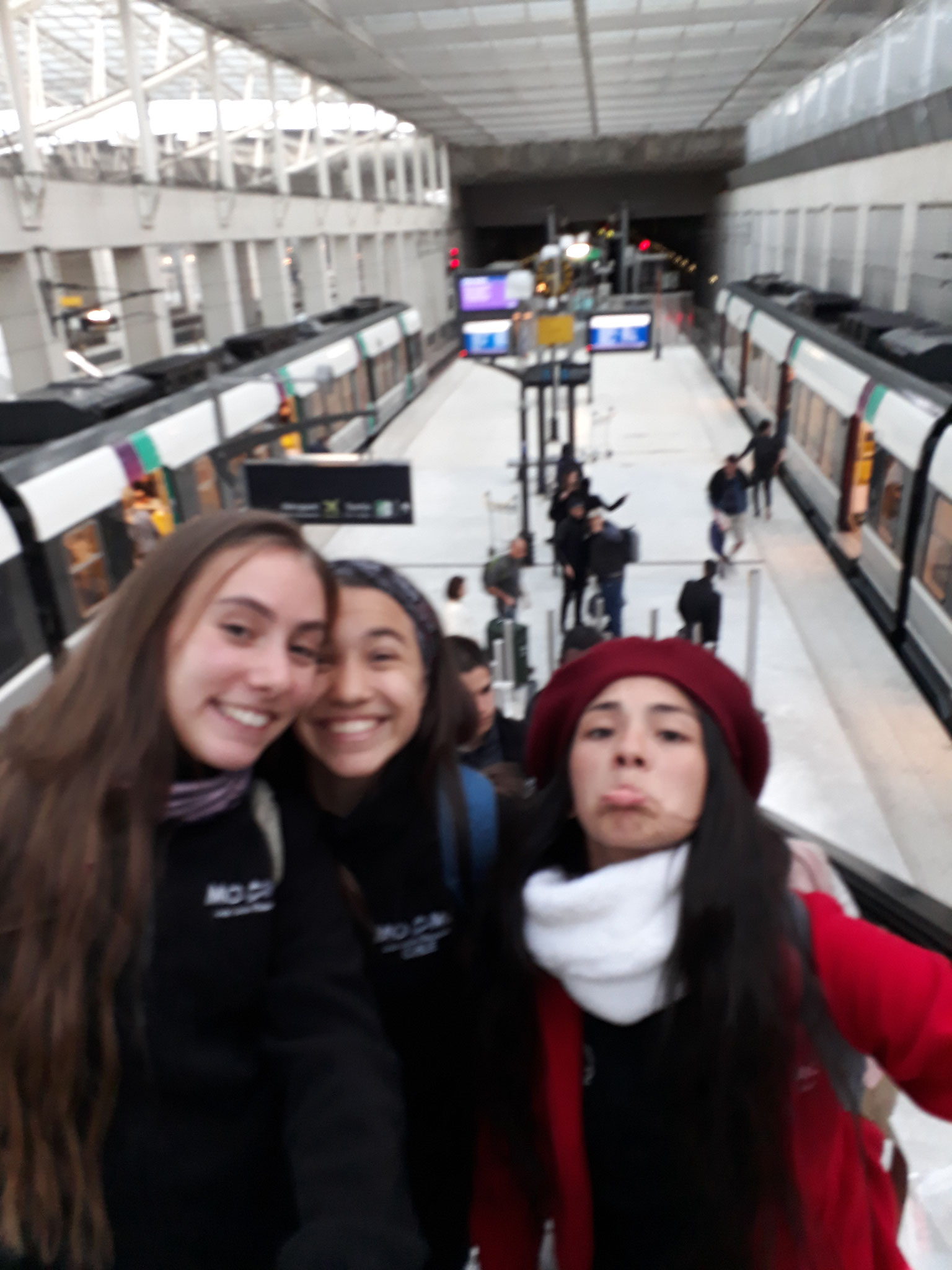 Despedida de París un viaje maravilloso Abril-2017