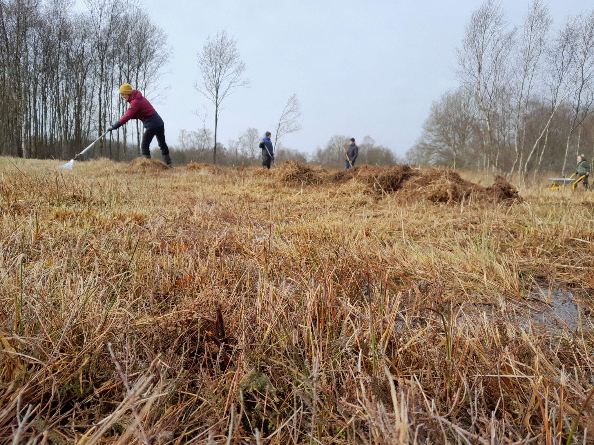 Freiwillige bei der Arbeit. Foto: ÖNSL