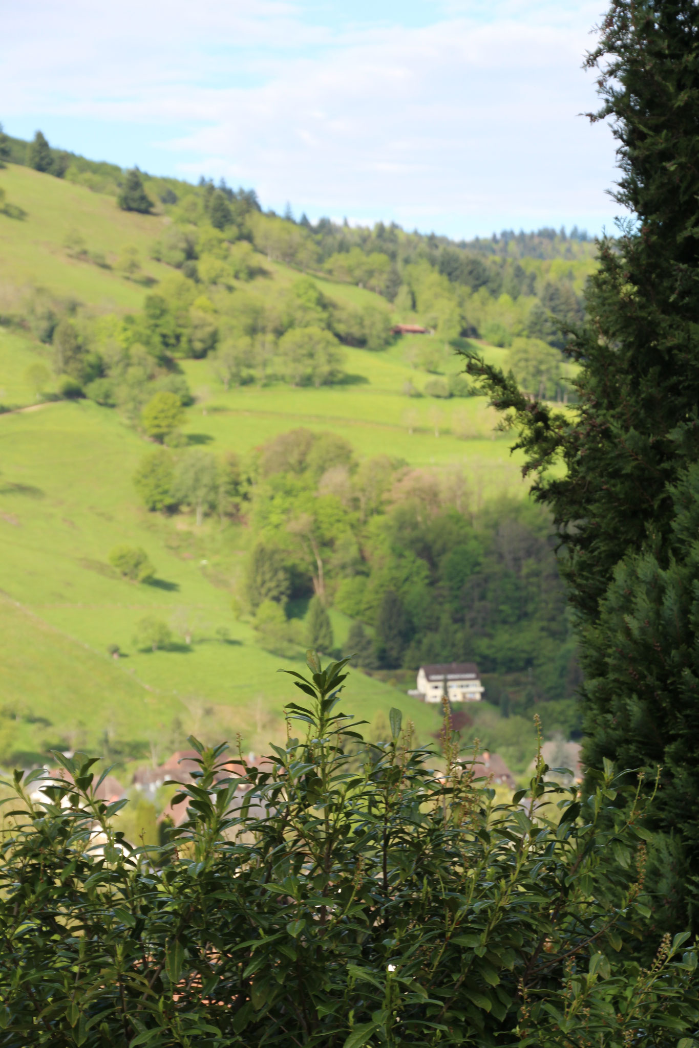 Eine traumhafte Aussicht im Münstertal