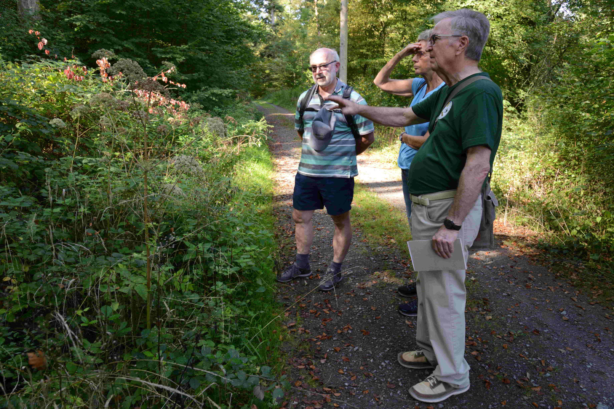 Volker Dühring erklärt im Wald die Verdrängungsmechanismen der Neophyten