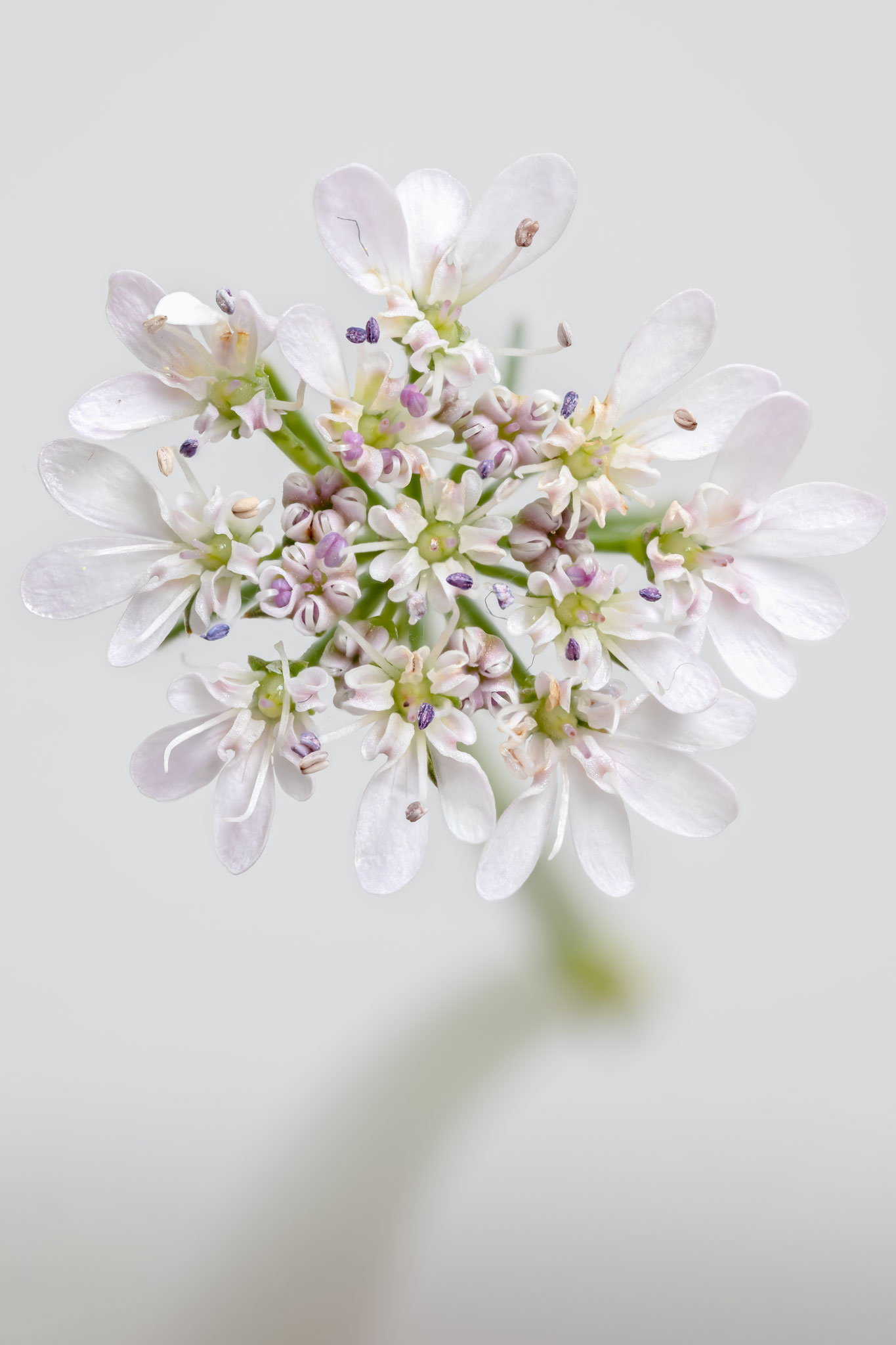 Sandra Gygax-Zehnder Fotografie & Kunst, Köniz