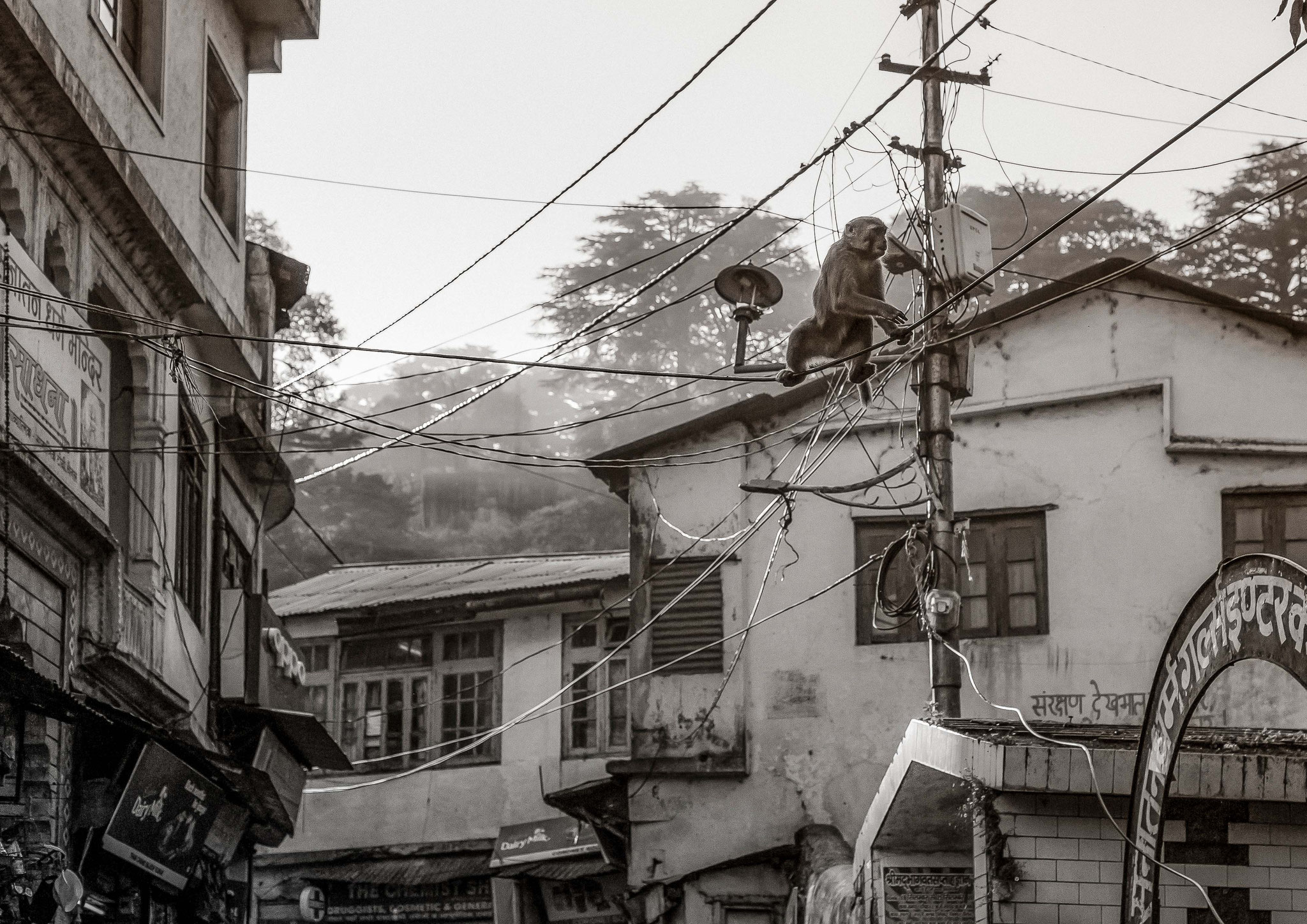 Indien, Rishikesh, Haridwar, Chopta,Tungnath, Sandra Gygax Fotografie