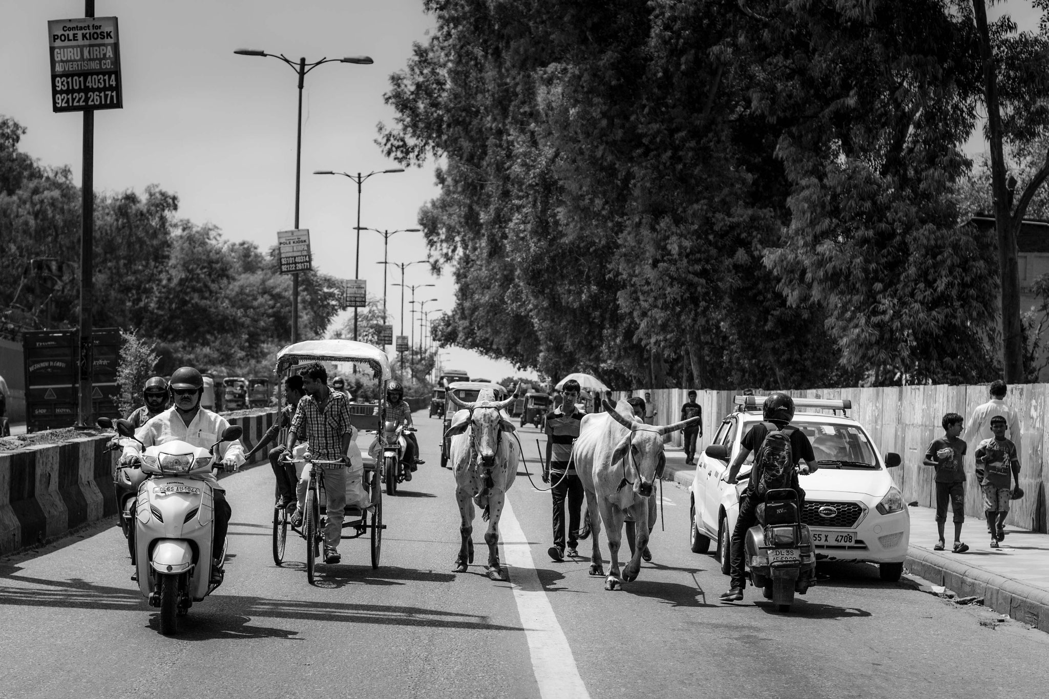 Indien, Delhi, Rishikesh, Haridwar, Chopta, Tungnath, Sandra Gygax Fotografie