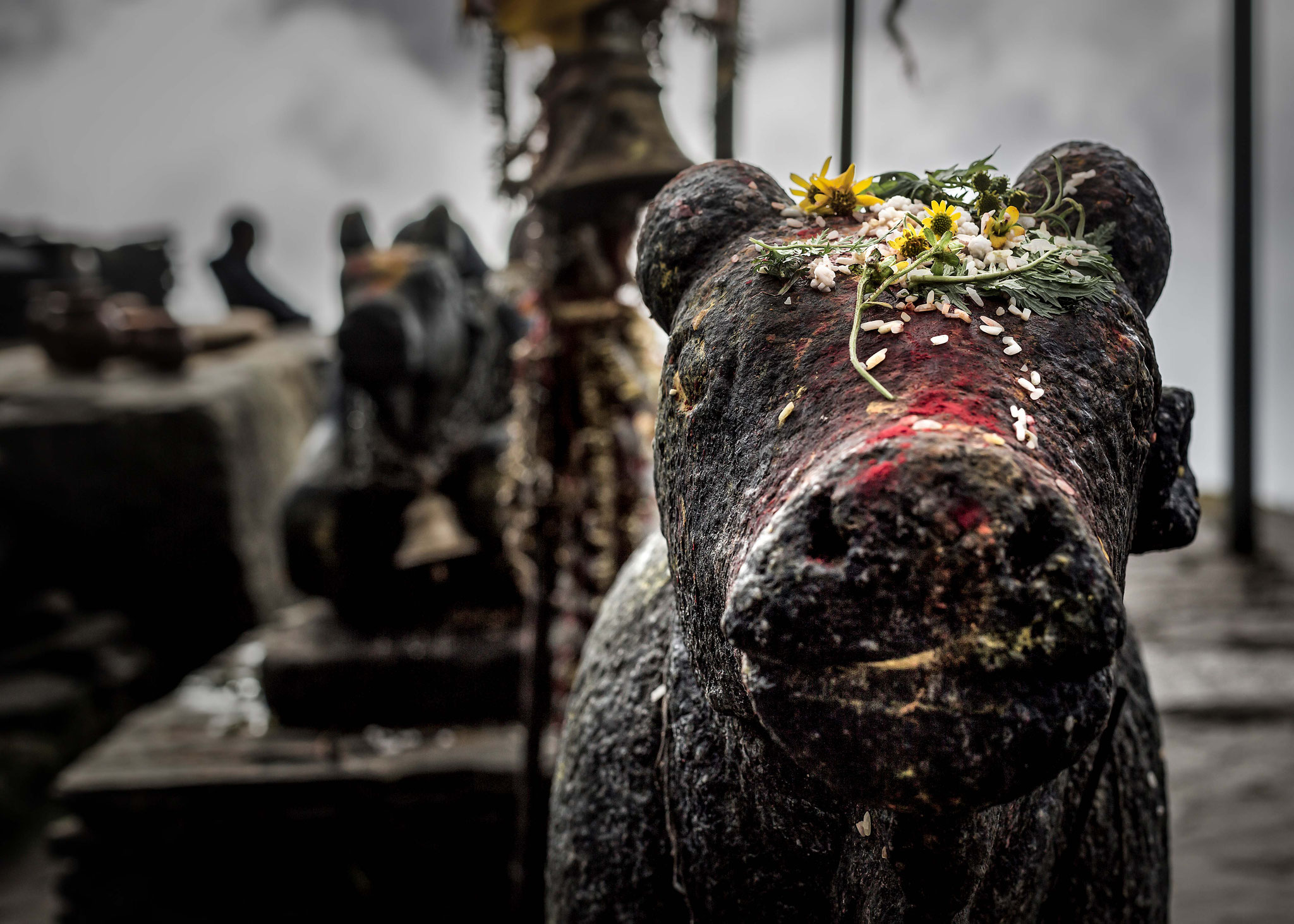 Indien, Rishikesh, Haridwar, Chopta,Tungnath, Sandra Gygax Fotografie