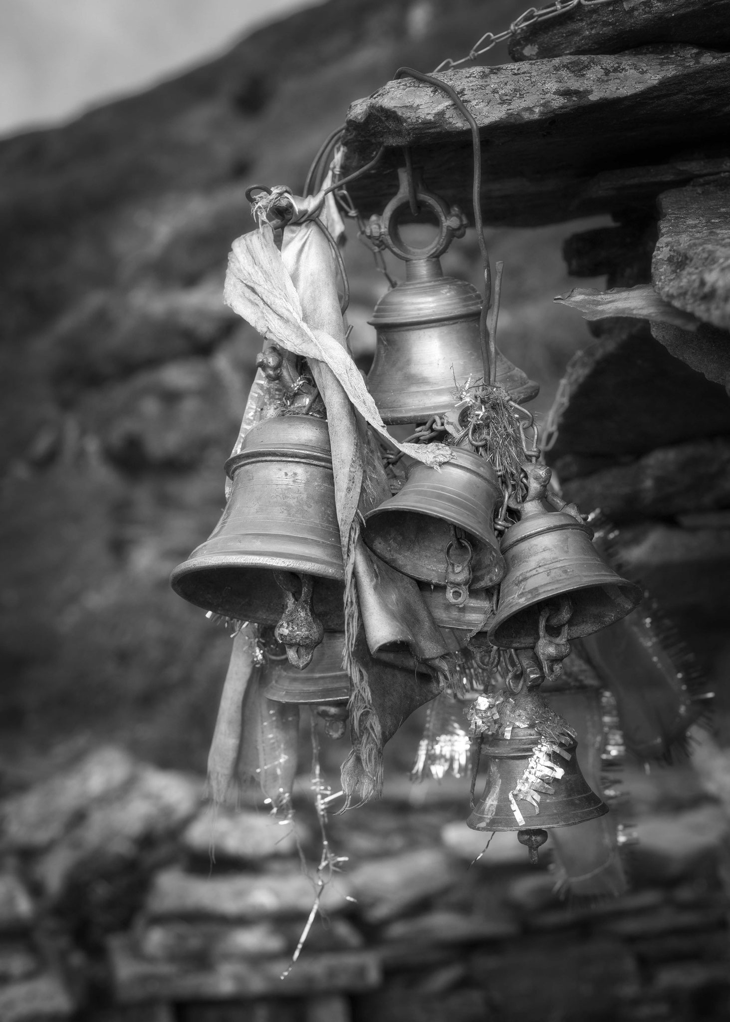 Indien, Delhi, Rishikesh, Haridwar, Chopta, Tungnath, Sandra Gygax Fotografie