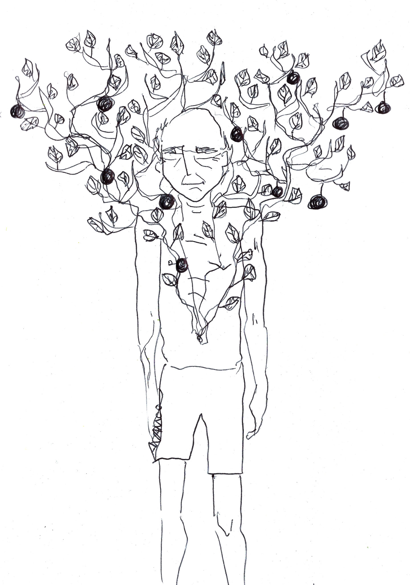 l'arbre porteur de fruits