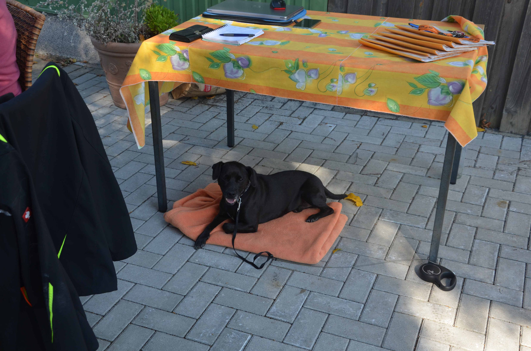 unser Wachhund Balu