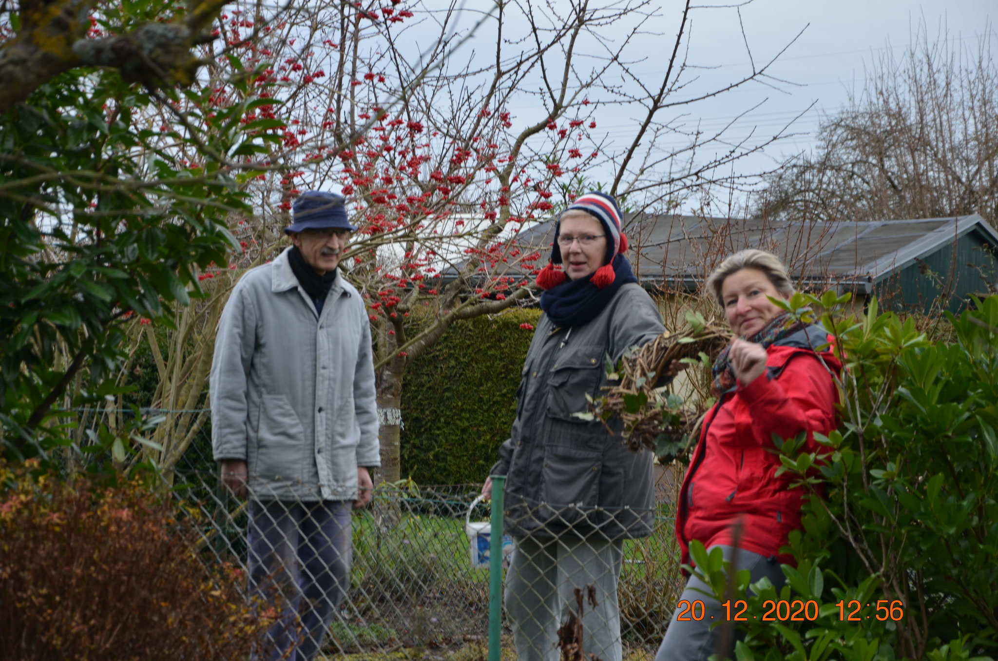 4. Advent in der Gartenanlage; es gab sogar einen Kranz gratis