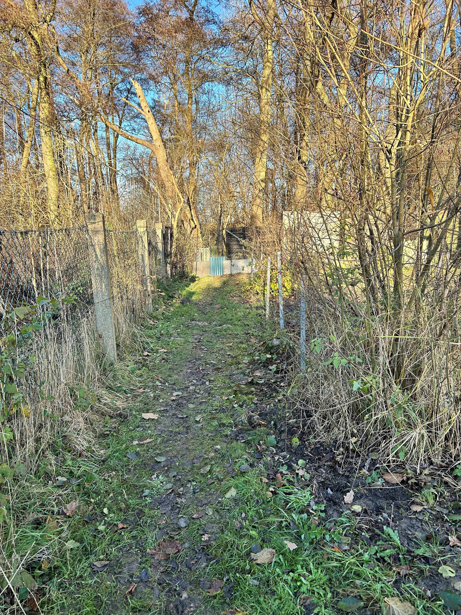 Außenzaun Weg 1
