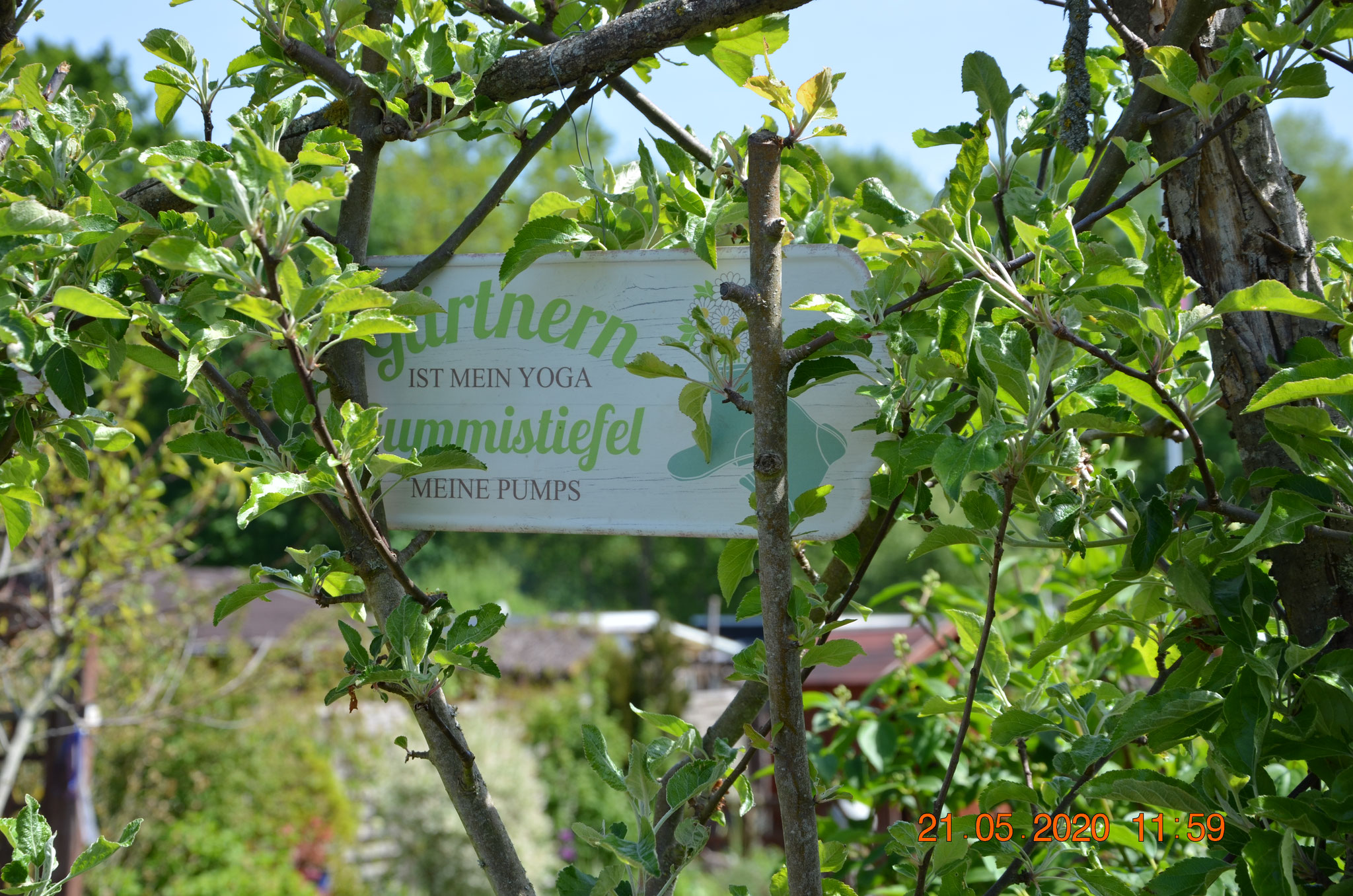 Hinweisschild im Spalierobst