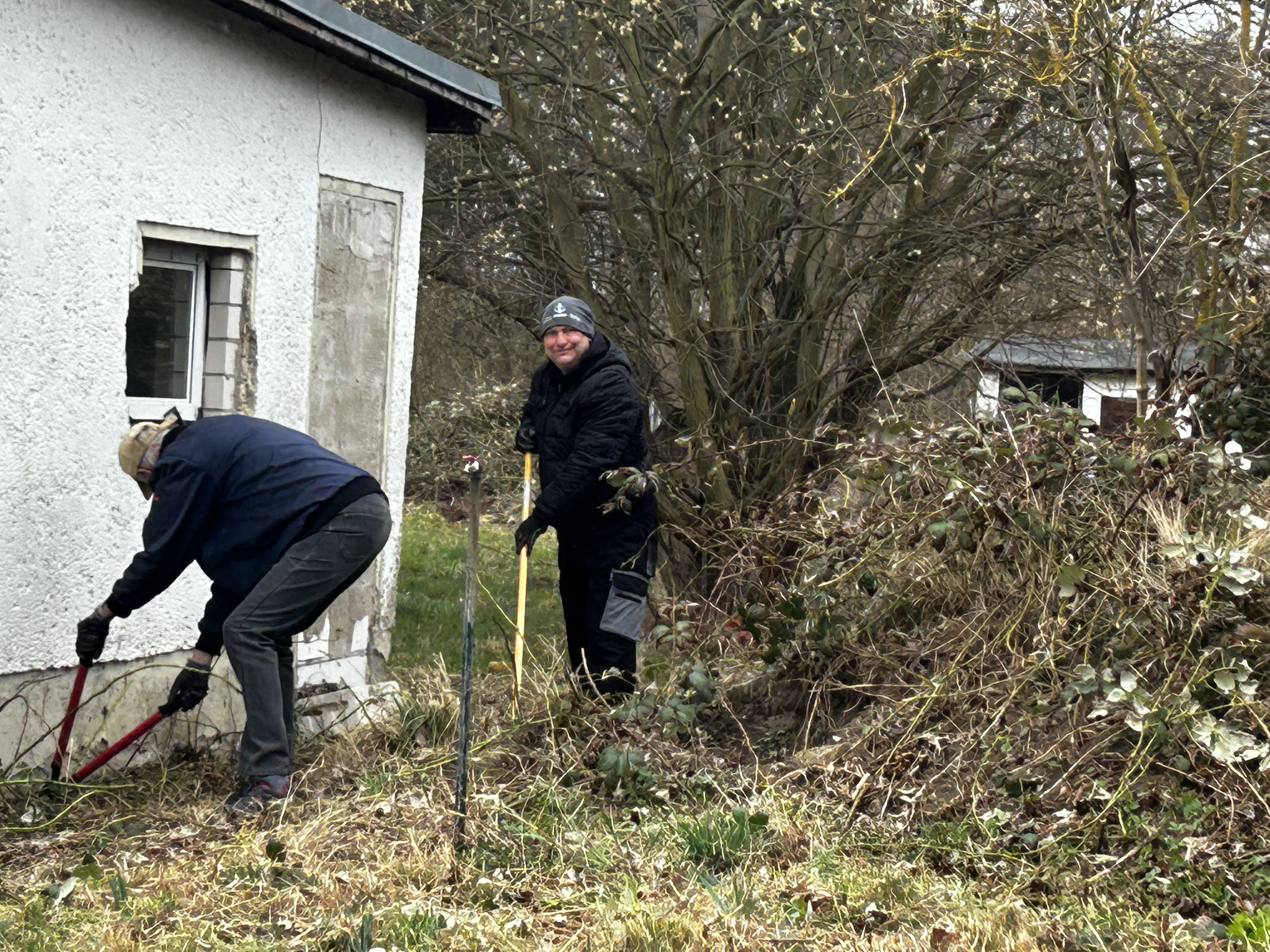 der Brombeere geht es an den Kragen