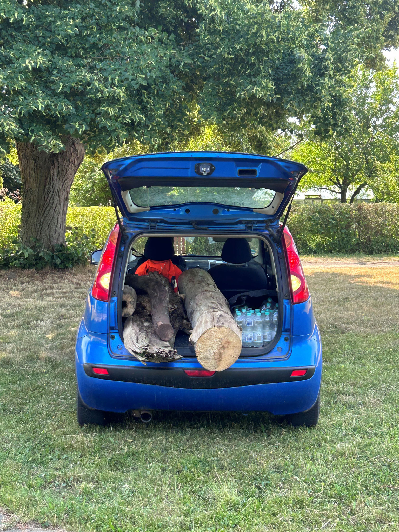 zwei Stämme Totholz aus dem Wald geholt