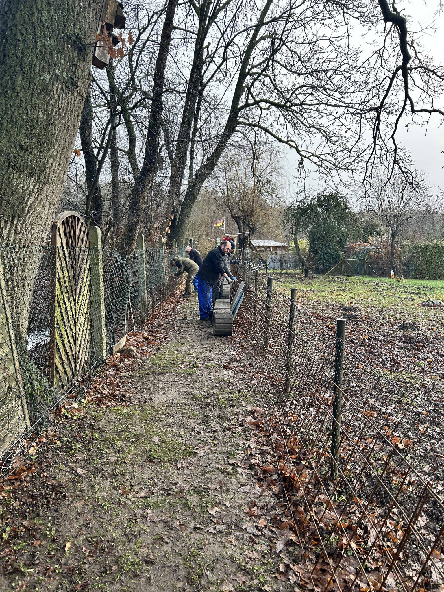 hier wurde der Zaun mit 70 cm hohen Stahlmatten gesichert