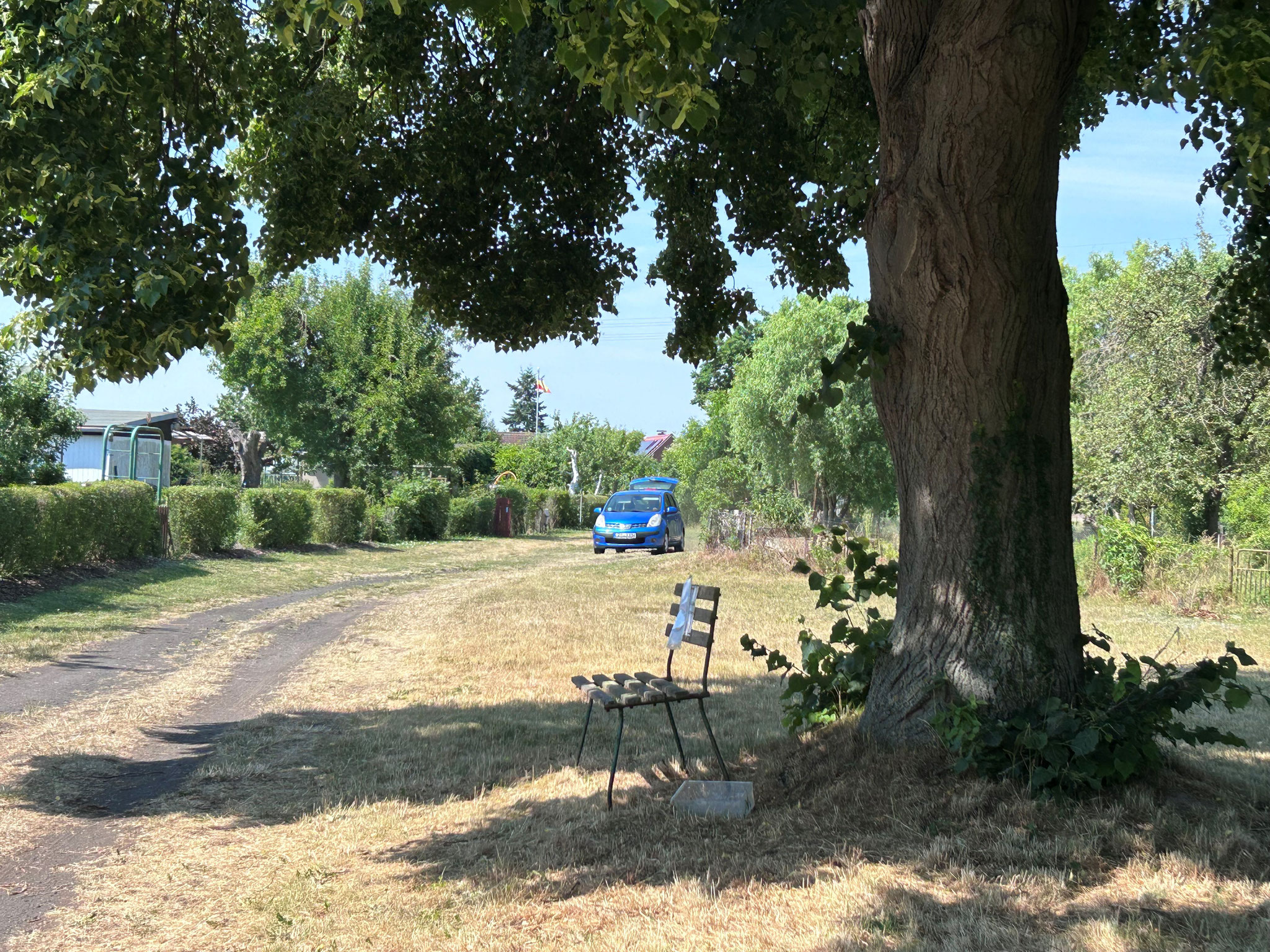 mit Genehmigung des Stadtförsters wurden heute