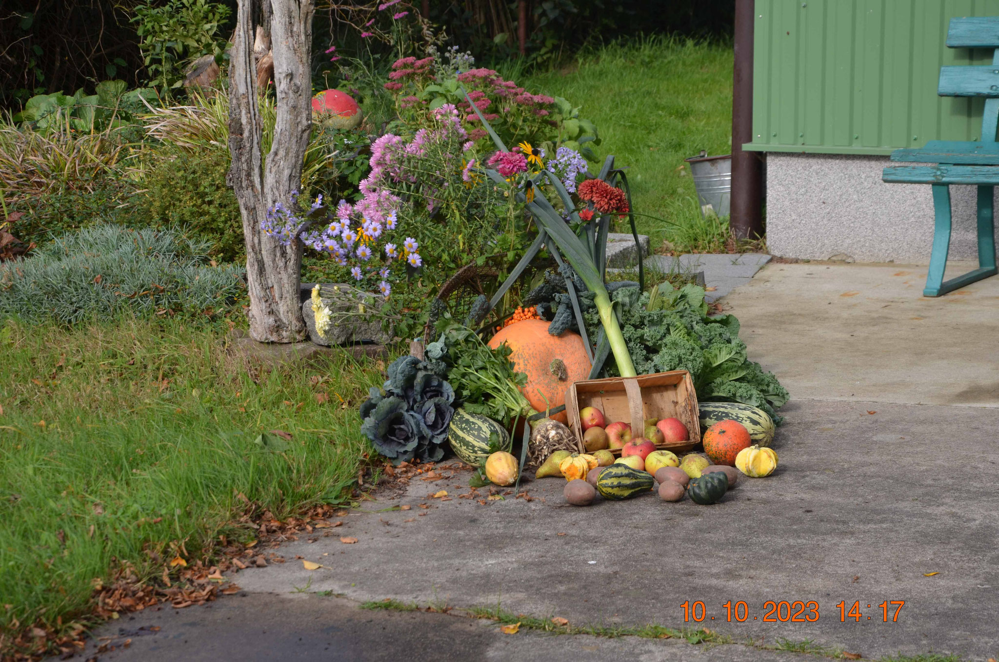 Herbstlook (von Joachim inszeniert)