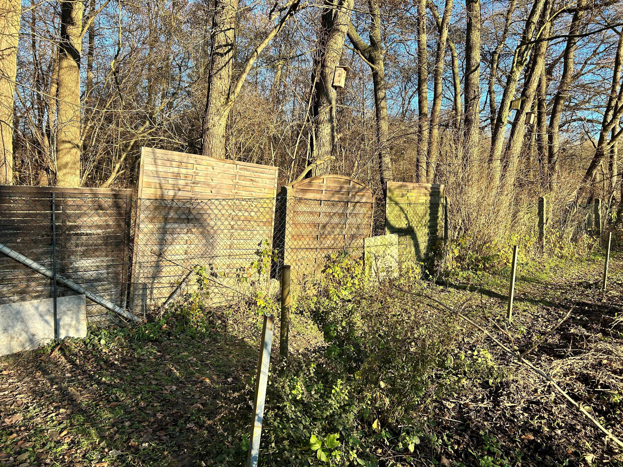 Außenzaun im Weg 1