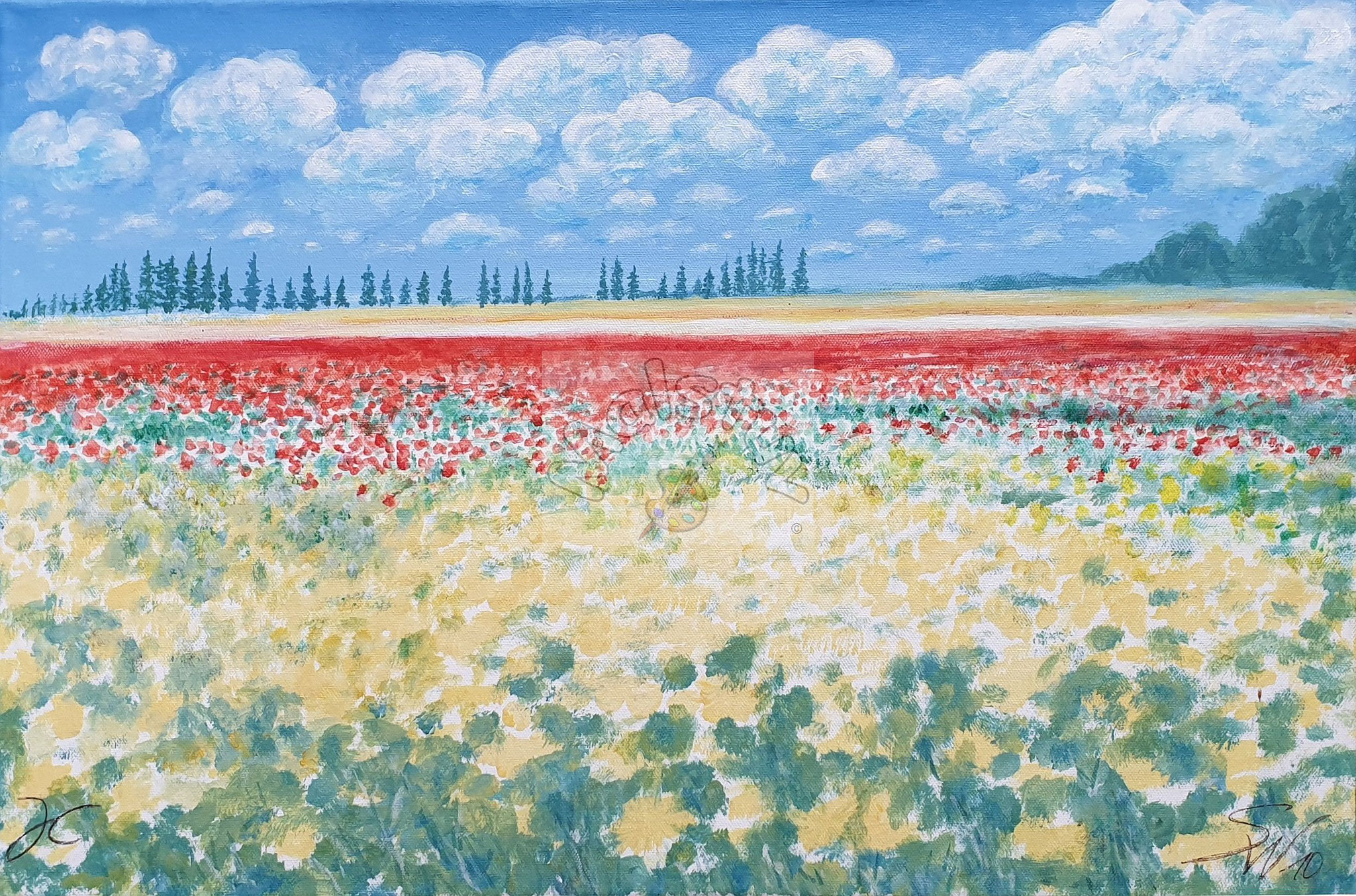 Landschaft 03 - Blumenfelder