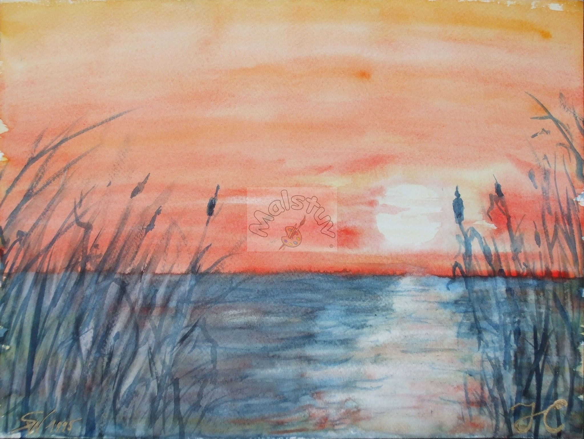 Stimmung am Meer 04 - Schilfsilhouette