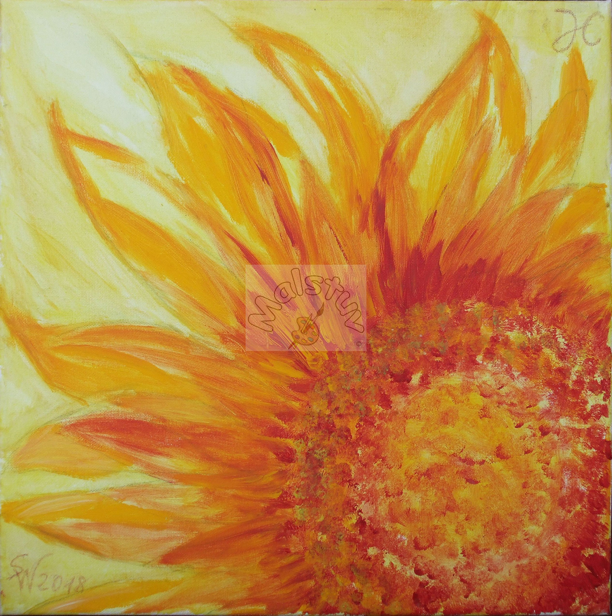 Sonnenblume 03  (40x40)