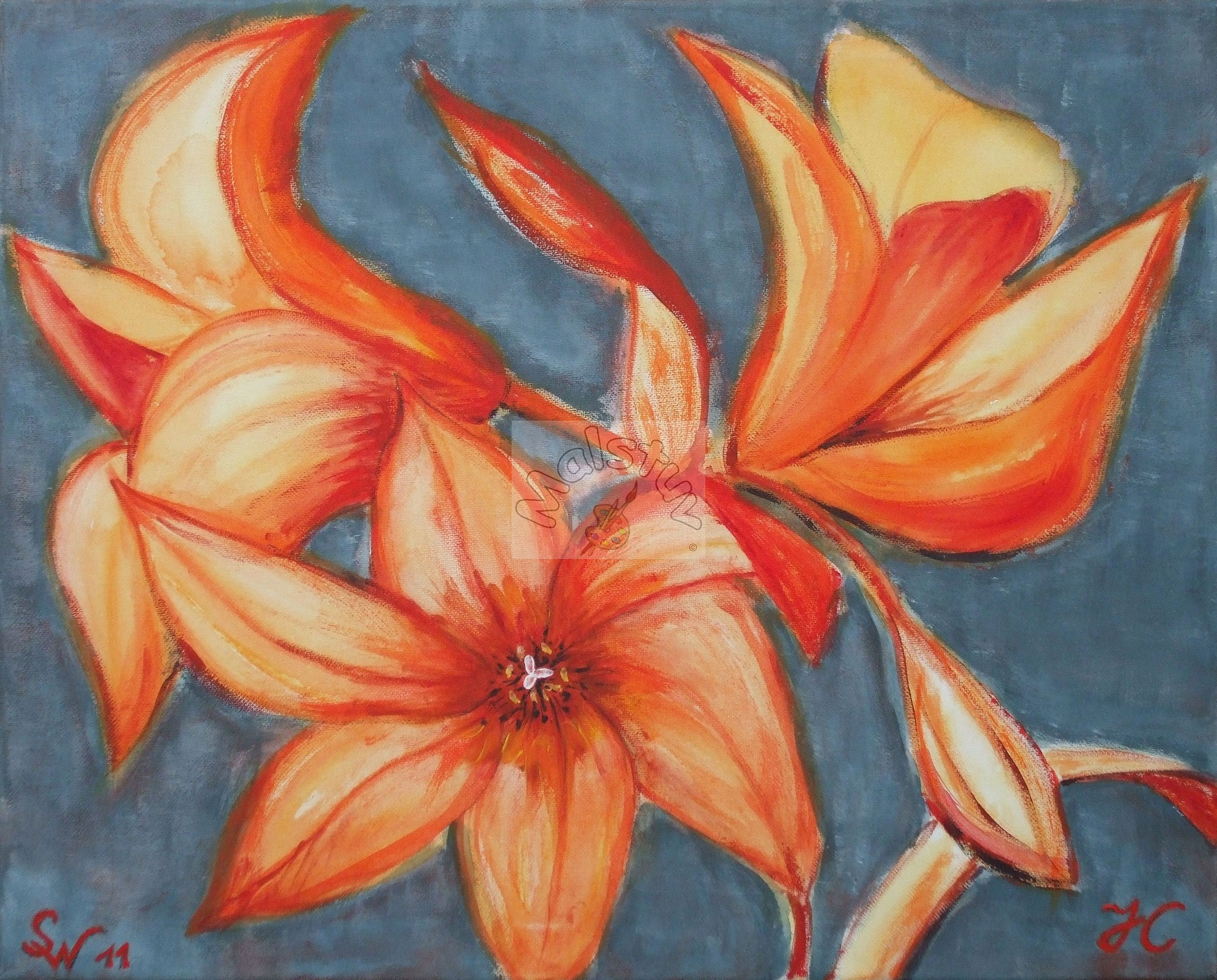 Blüten 02 - Lilien