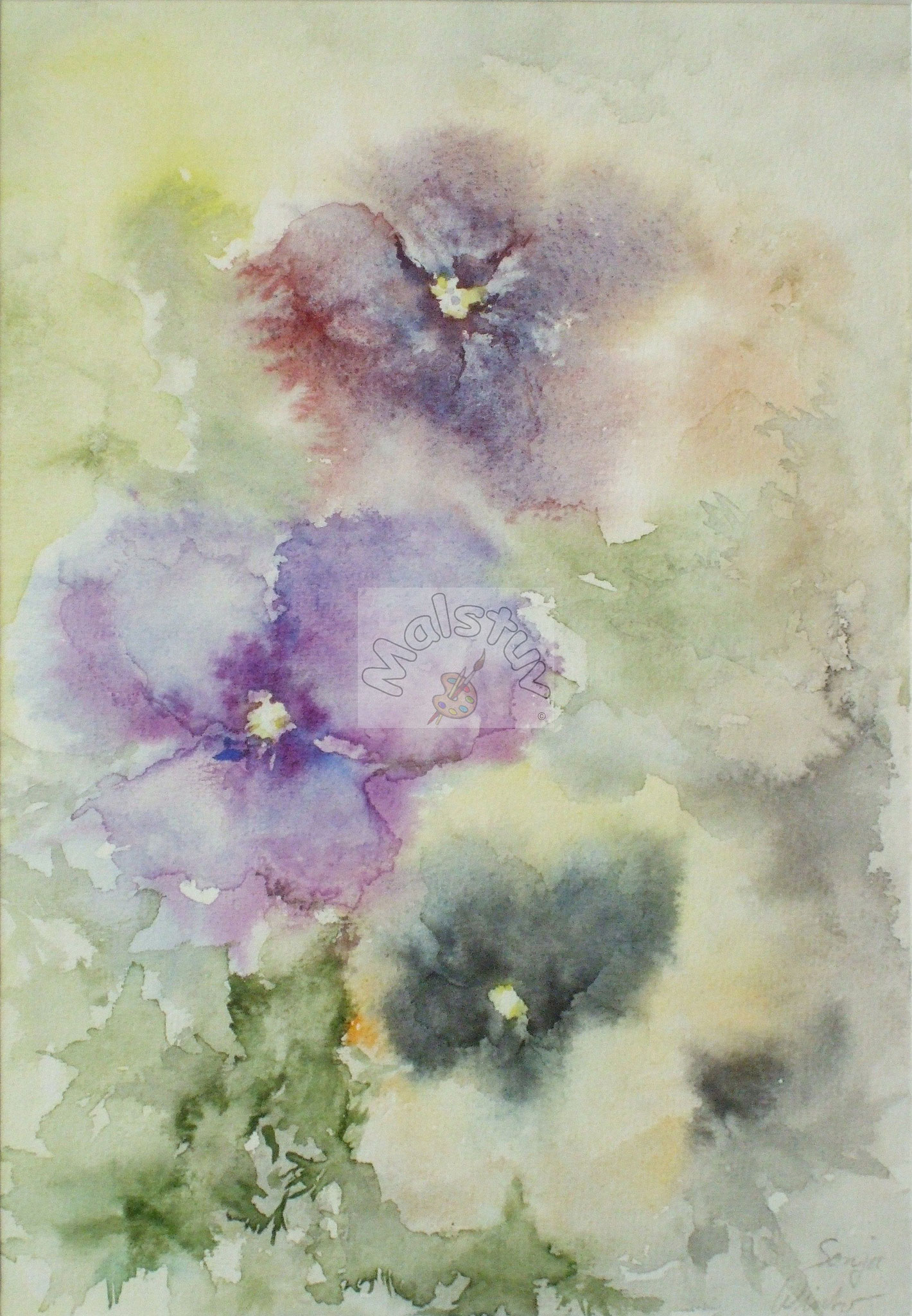 Blüten 09 - Stiefmütterchen