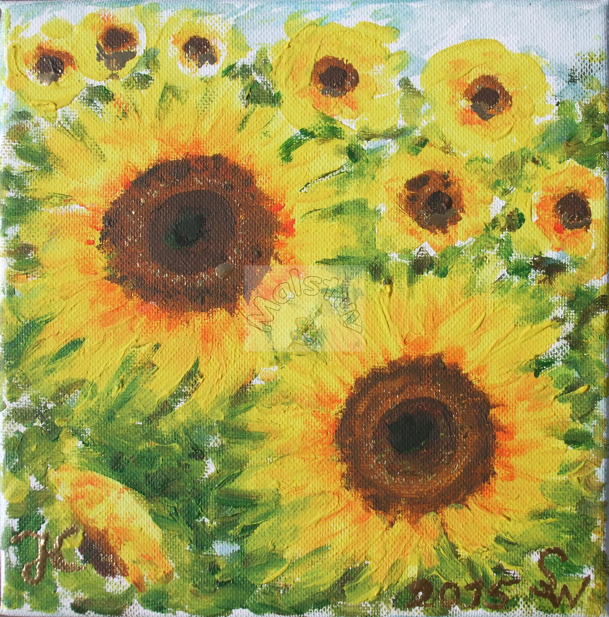 Sonnenblumen 01  (20x20)
