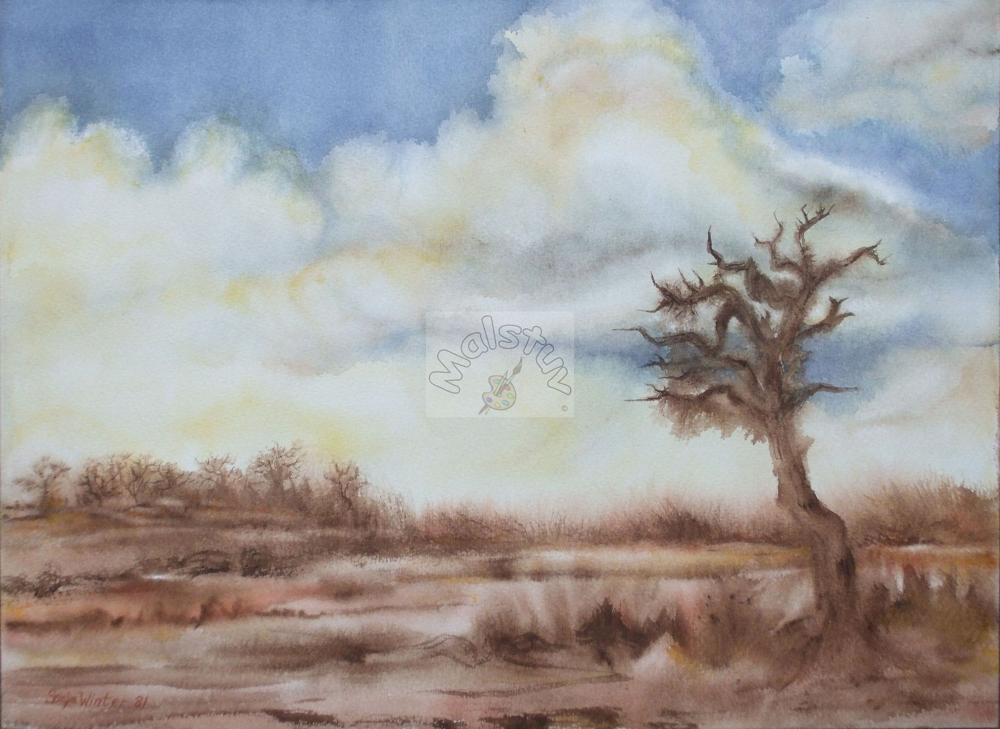 Landschaft 08 - Savanne