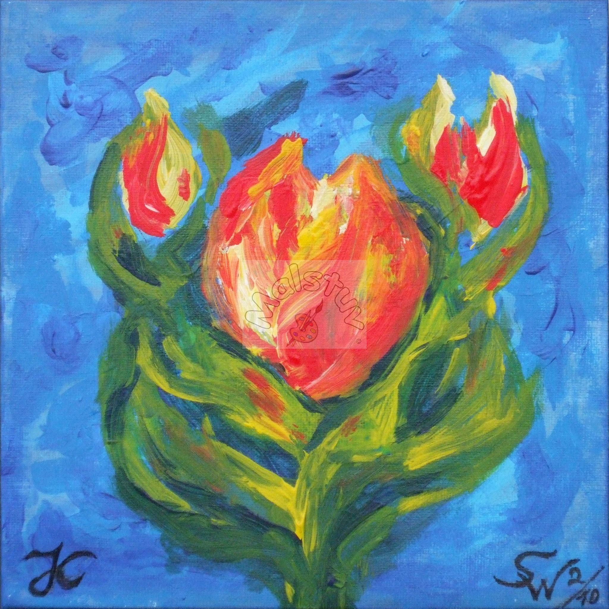 Blüten 06 - Feuerblumen