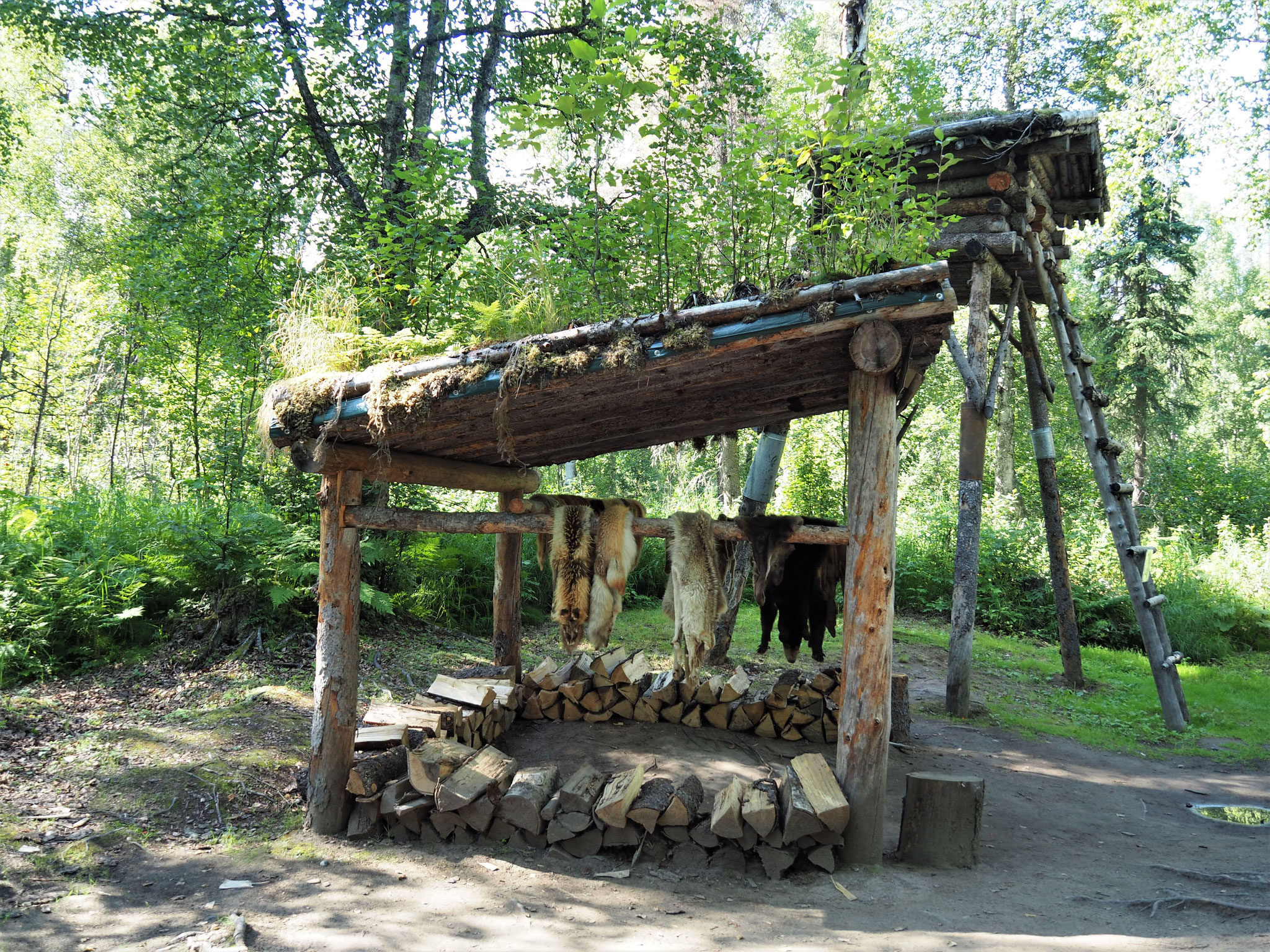 ... so lebten einst die "Trapper" in der Wildnis von Alaska