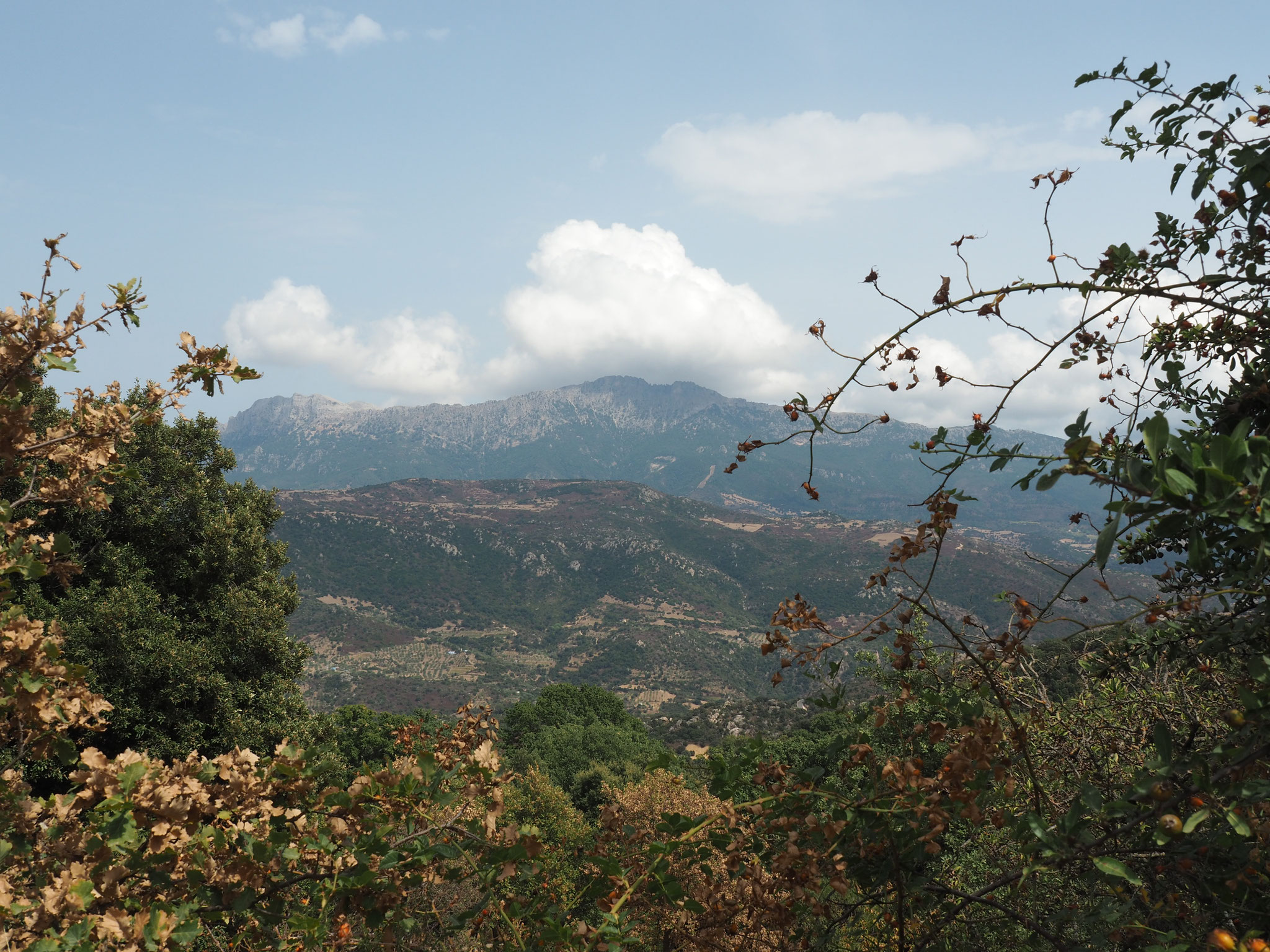 Blick auf den Monte Corrasi - 1463 m