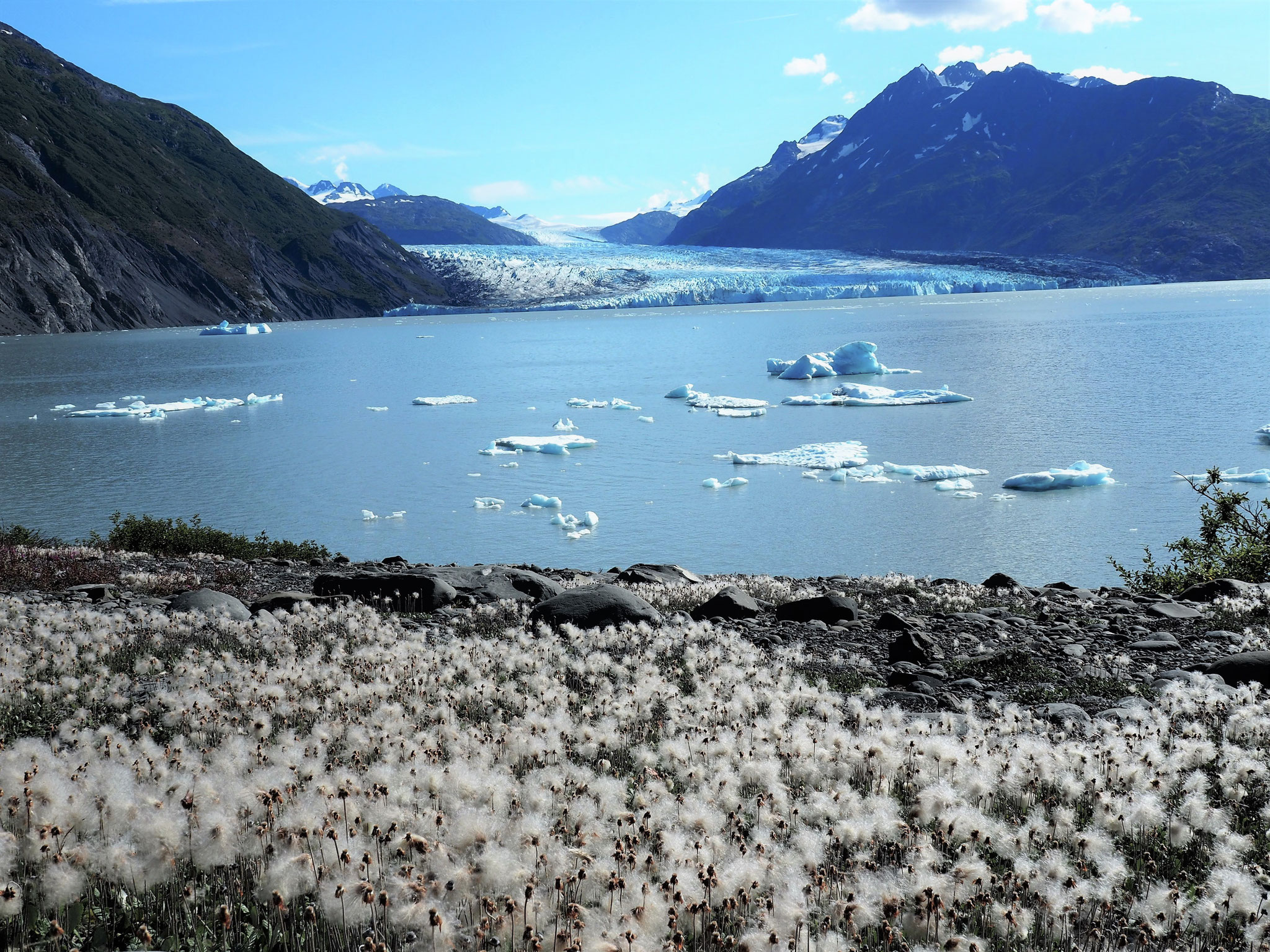 Colony-Gletscher