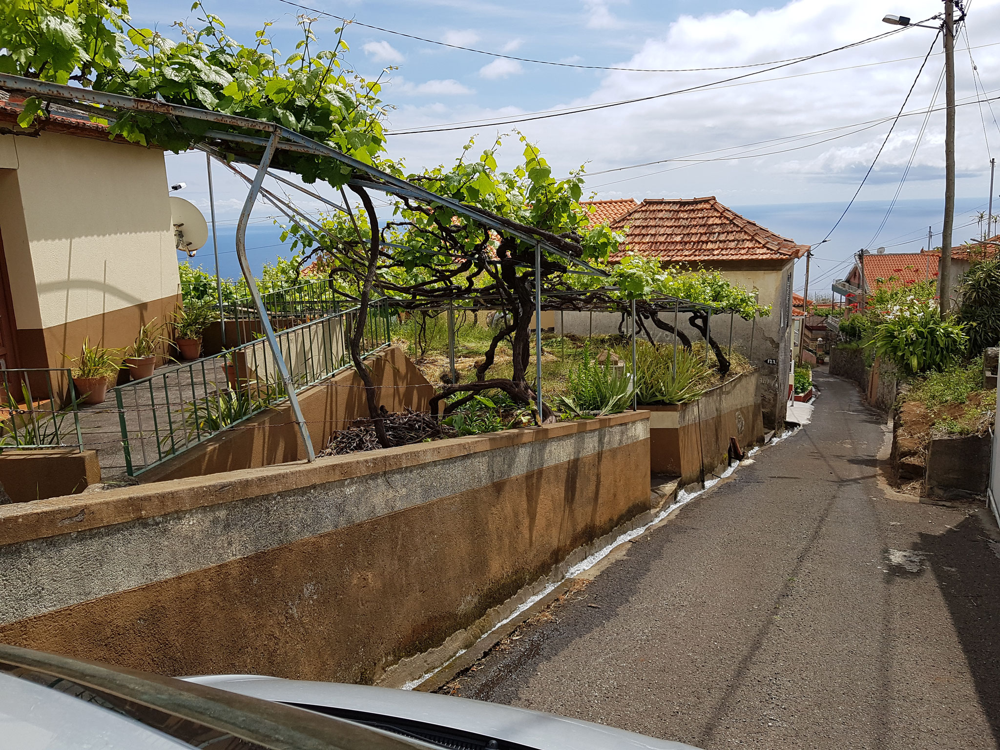 ... über Arco do Calheta und Prazeres geht es wieder langsam zurück