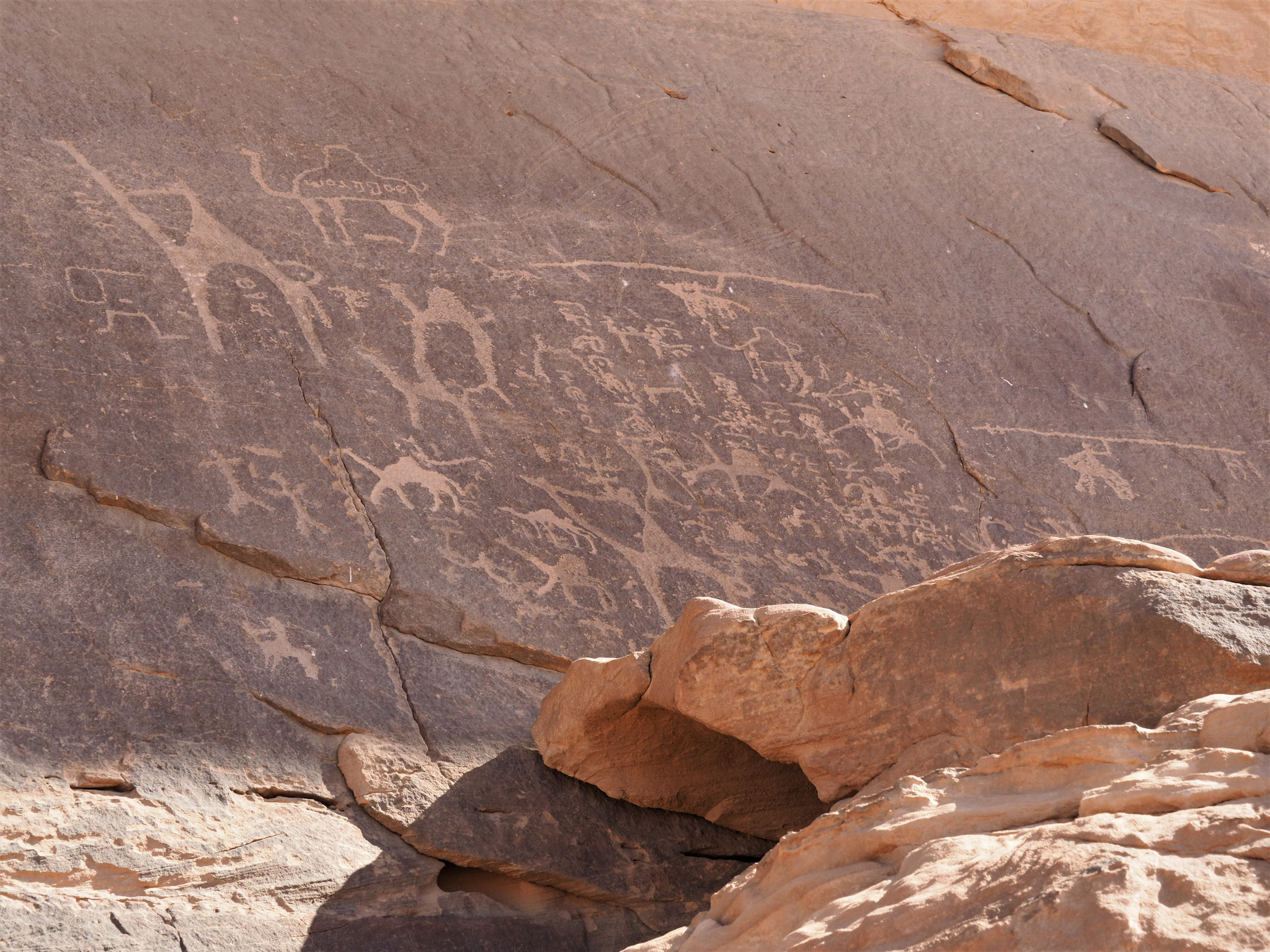 Alameleh Petroglyphen