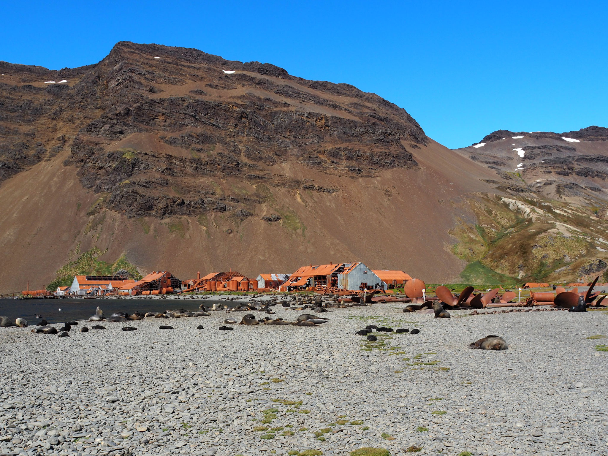 Stromness - eine ehemalige Walfangstation